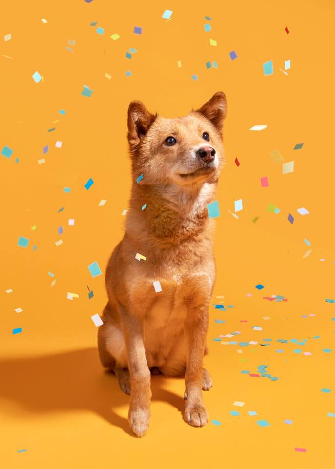 단이와의 임보 3개월차