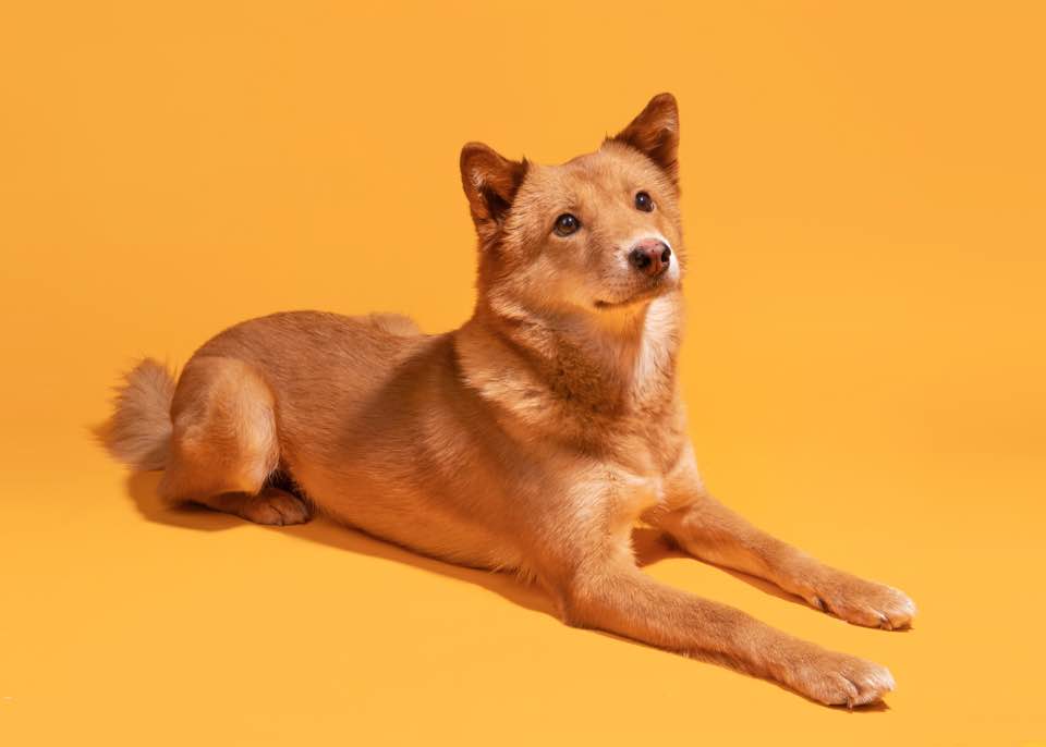 단이와의 임보 3개월차