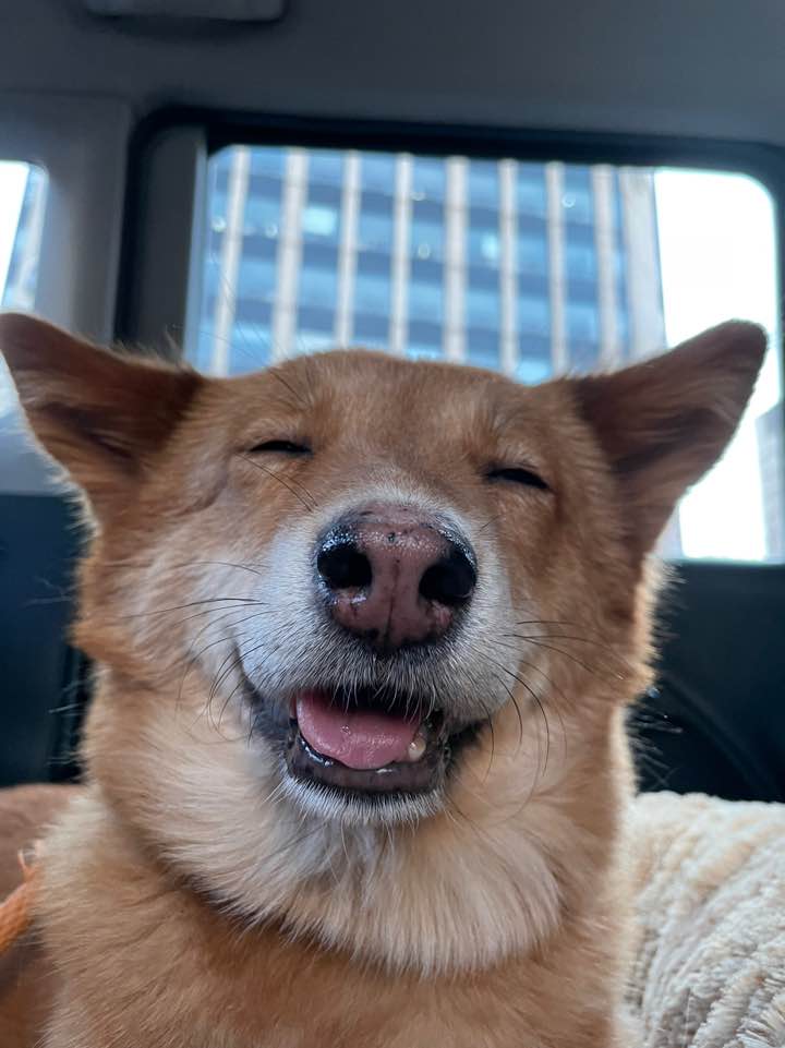 단이와의 임보 3개월차