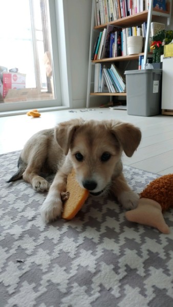 마노 일주일 차