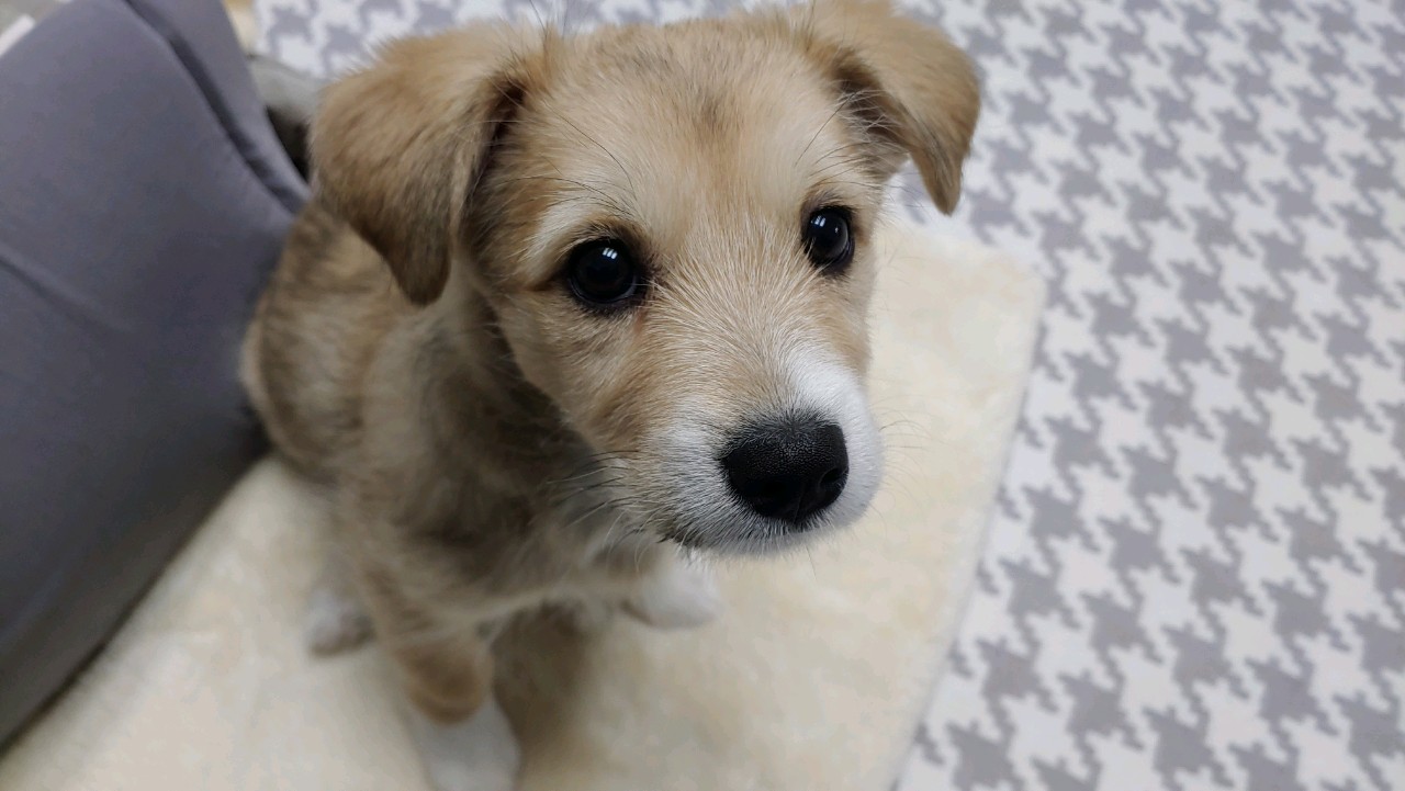 마노 일주일 차