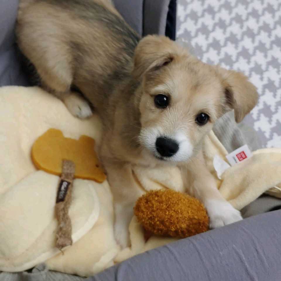 마노 일주일 차