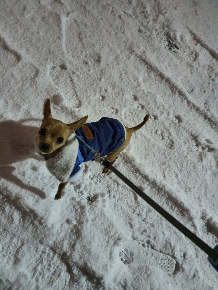 곤지(푸푸 아가 뽀오) 오늘 생일이예요~ ^^