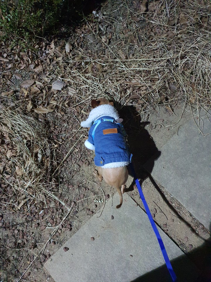 곤지(푸푸 아가 뽀오) 오늘 생일이예요~ ^^