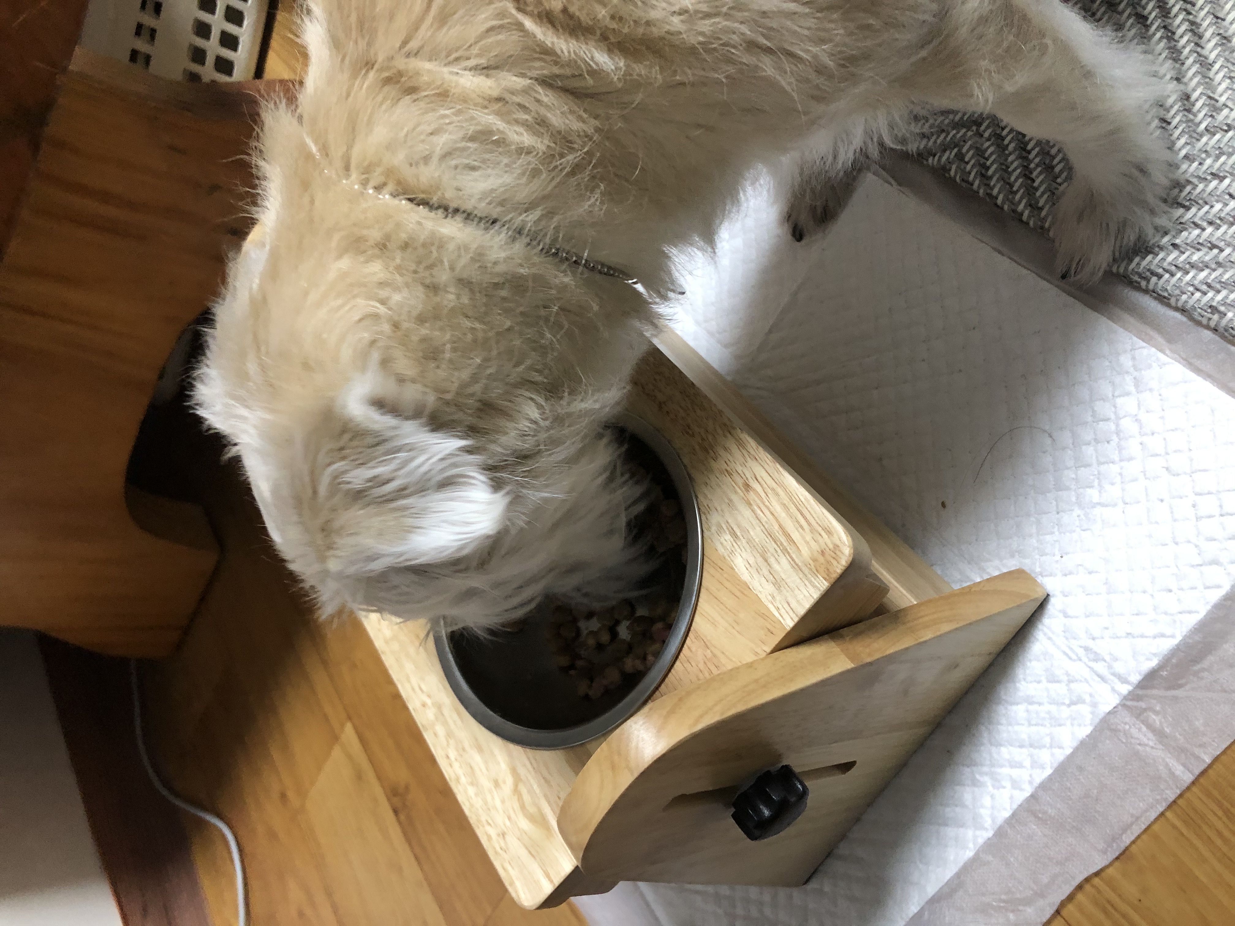 진이(前바비) 일주일 차 소식입니다. ^0^ 