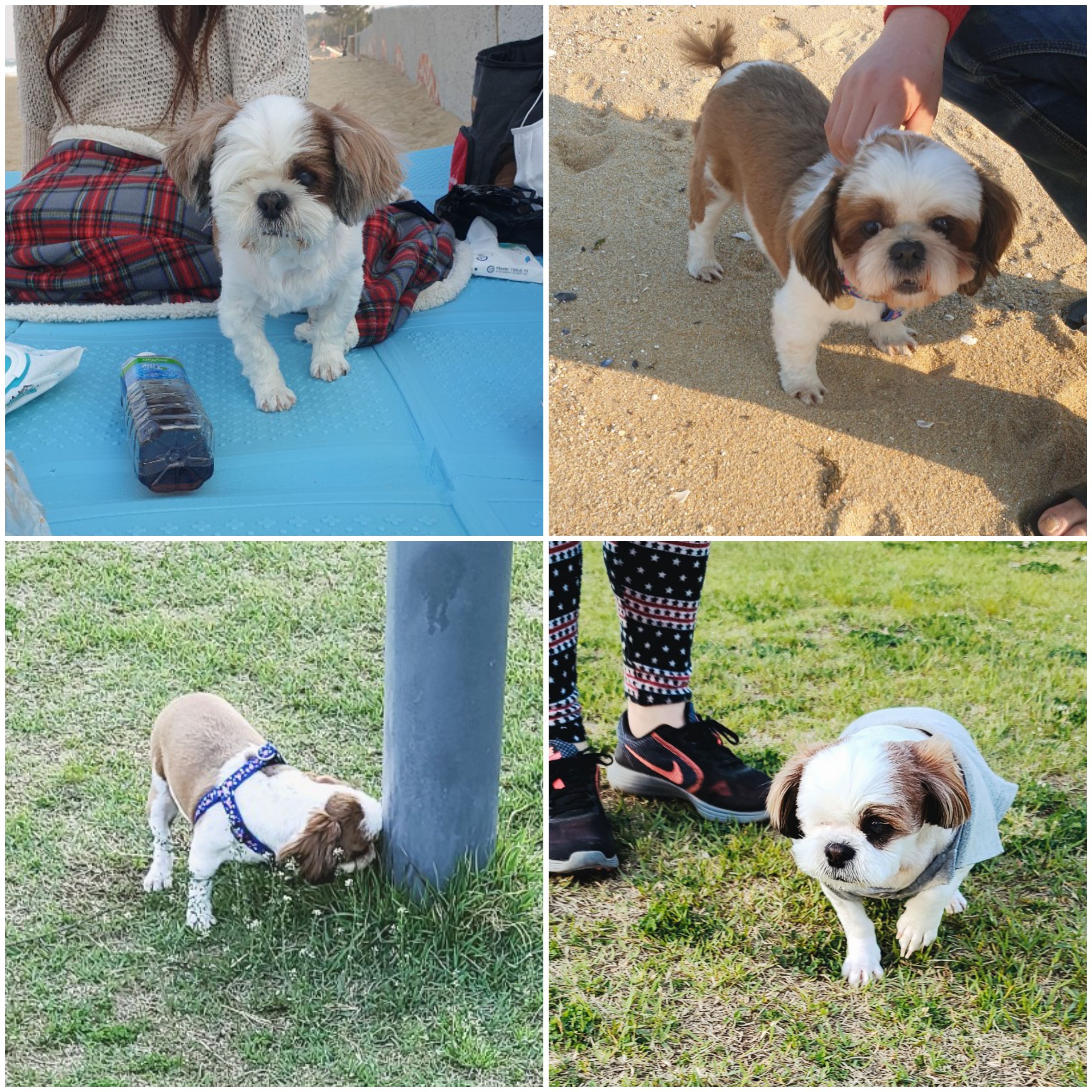 샘이와복민이 1년간의 추억