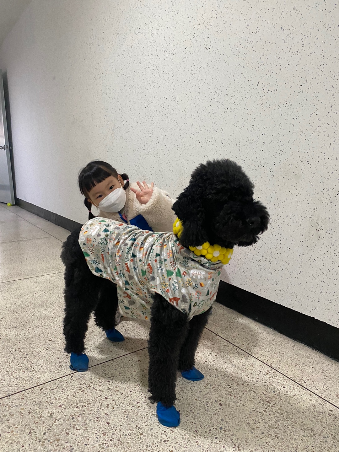 고양 불법번식장 구조 헤라 임보이야기