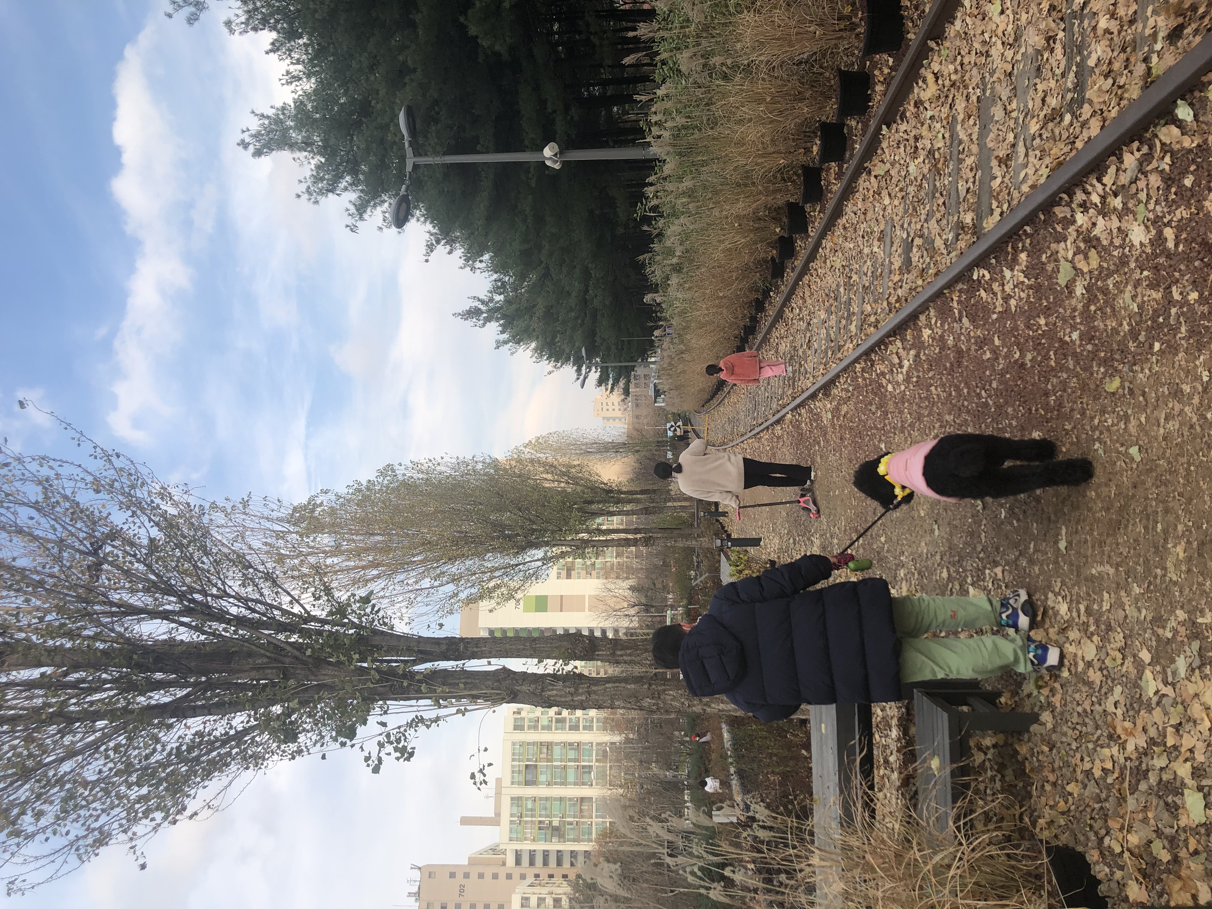 고양 불법번식장 구조 헤라 임보이야기