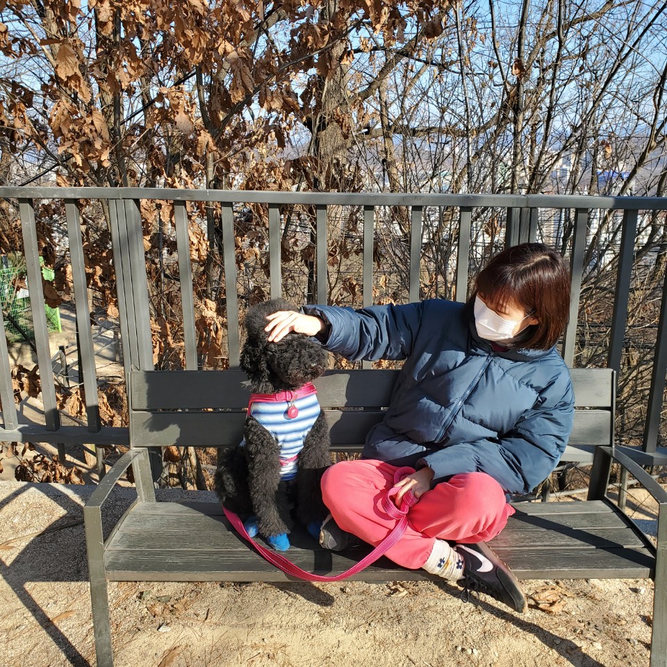 고양 불법번식장 구조 헤라 임보이야기