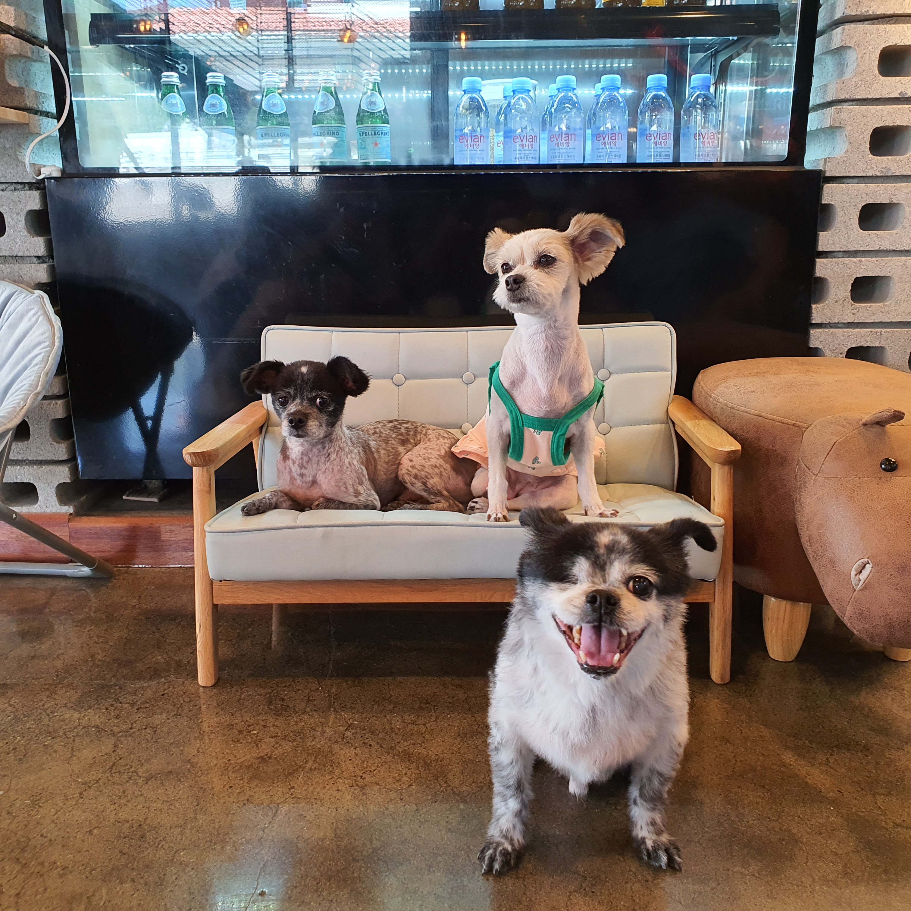 순남씨 입양 2주년