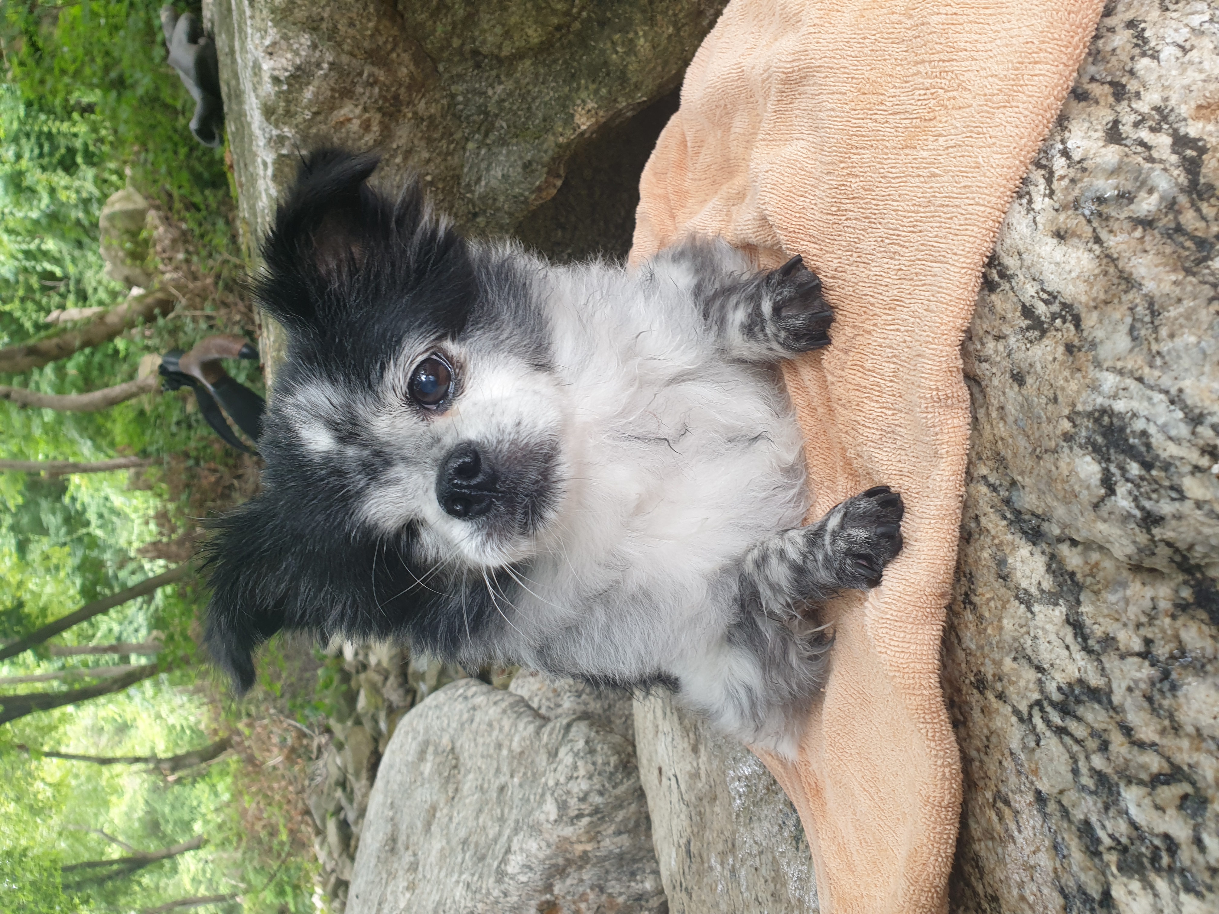 순남씨 입양 2주년