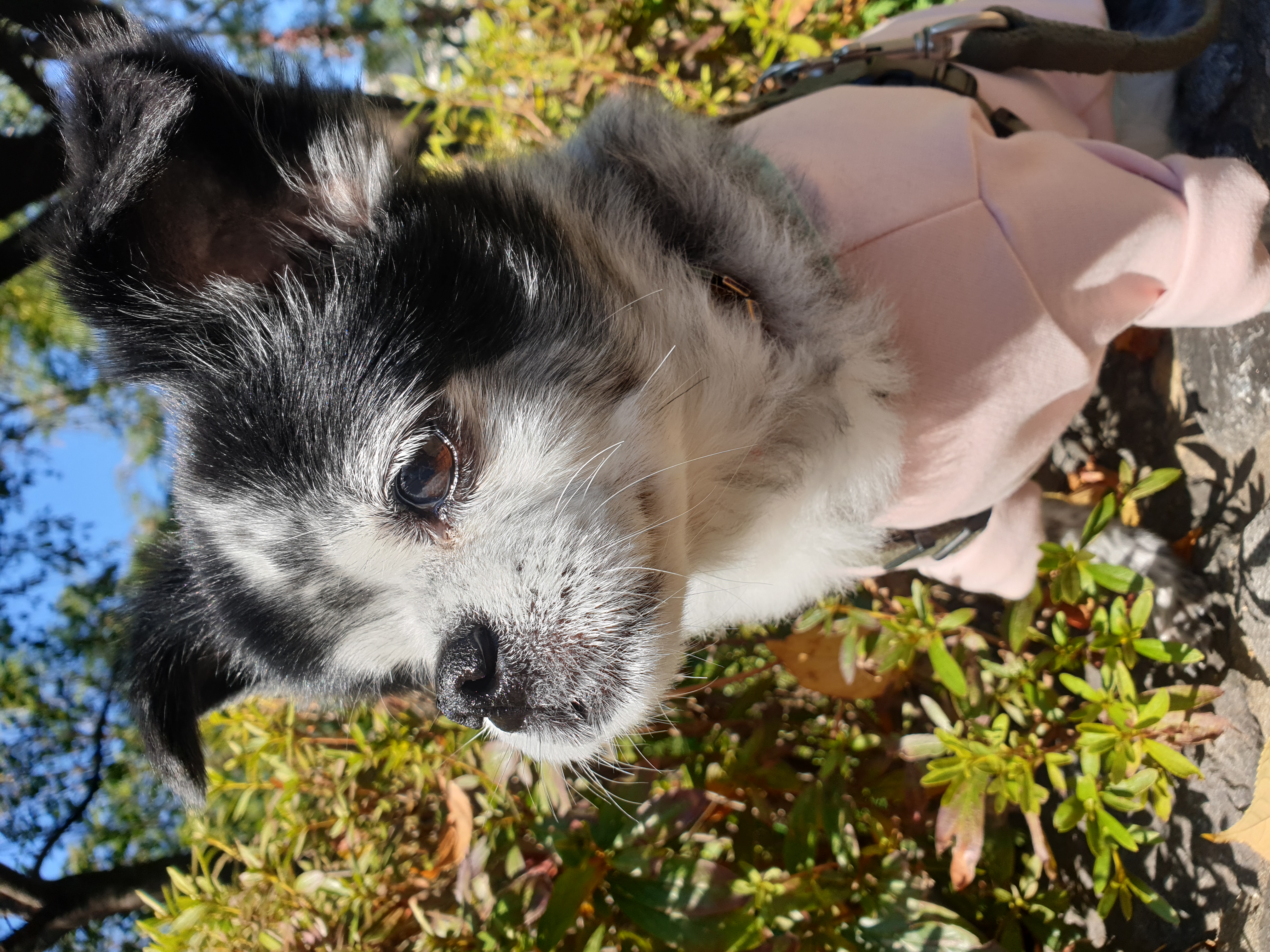 순남씨 입양 2주년