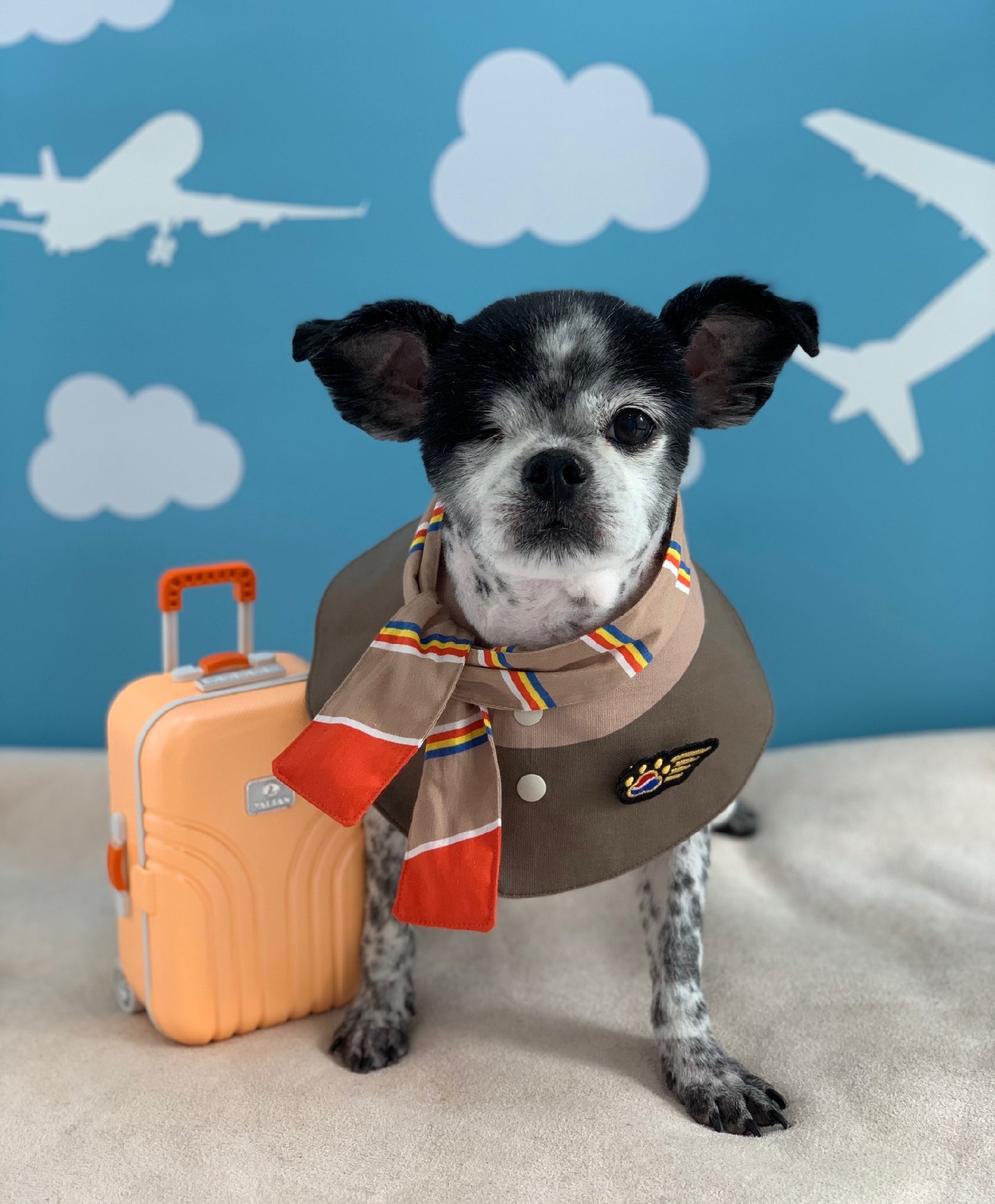 순남씨 입양 2주년