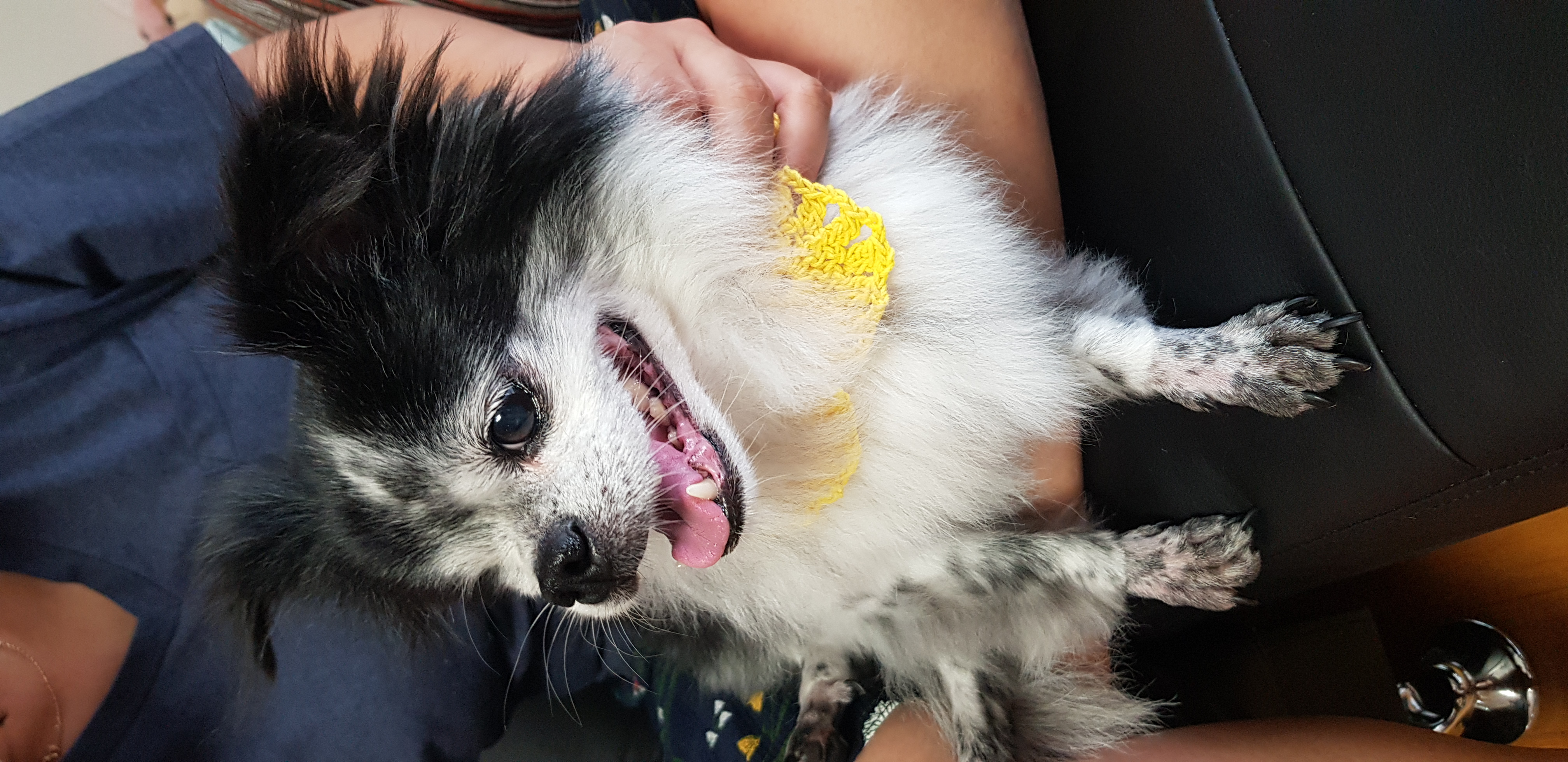 순남씨 입양 2주년