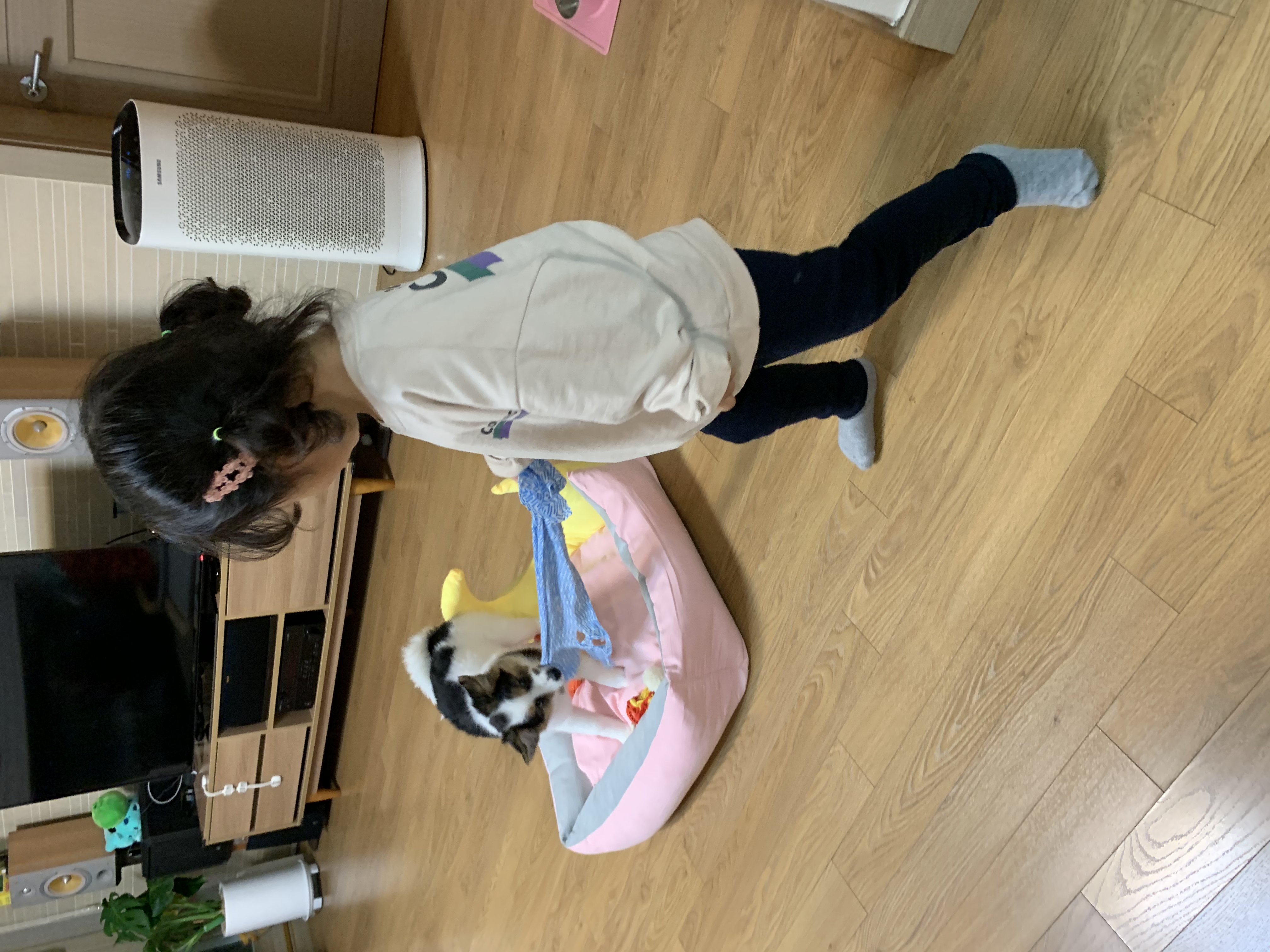 마블이 입양 후 1주일이 지났네요