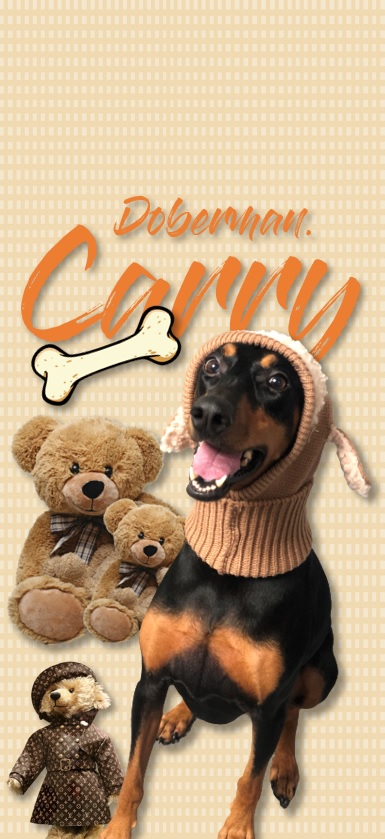 캐리이야기-도베르만-