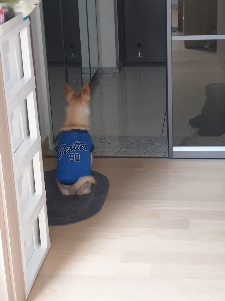 울이(구 희망) 7년 차 입양 후기