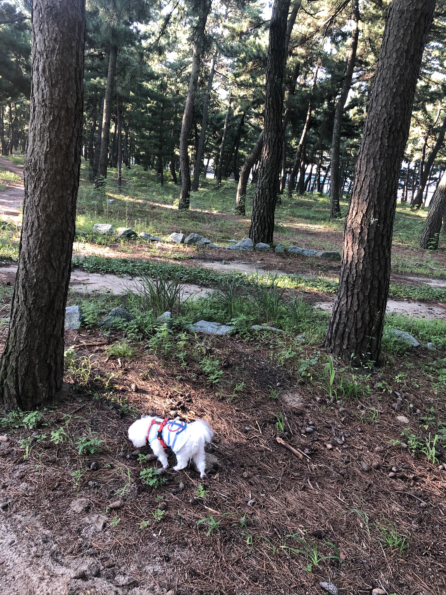 요다와 3년째 동거중 