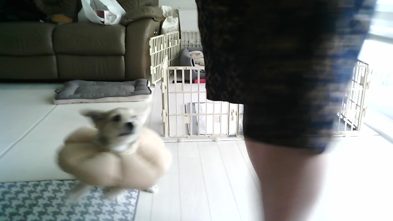 미루 (구 마노) 2주 후기입니다^^