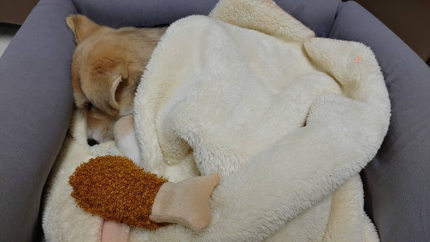 미루 (구 마노) 2주 후기입니다^^