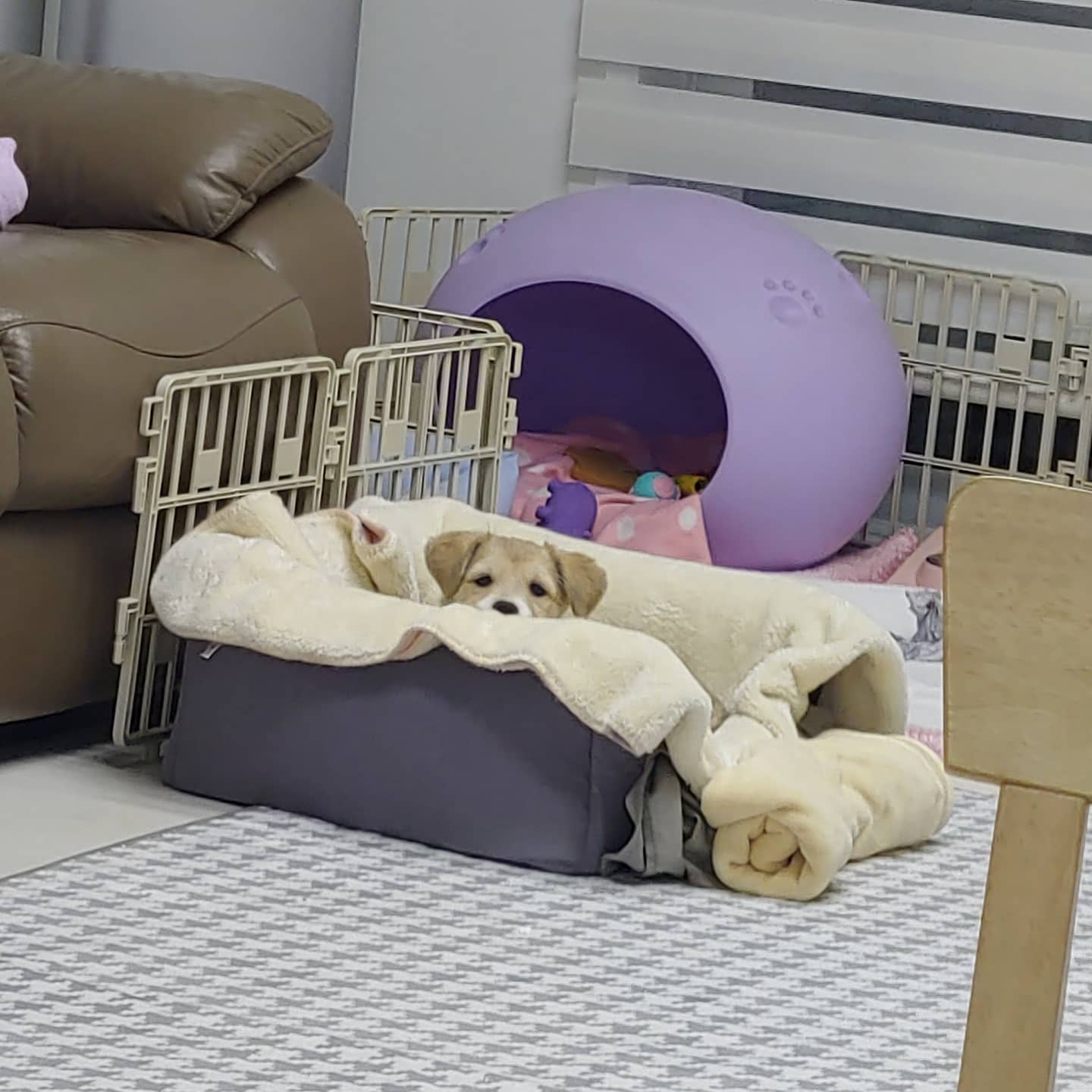 미루 (구 마노) 2주 후기입니다^^