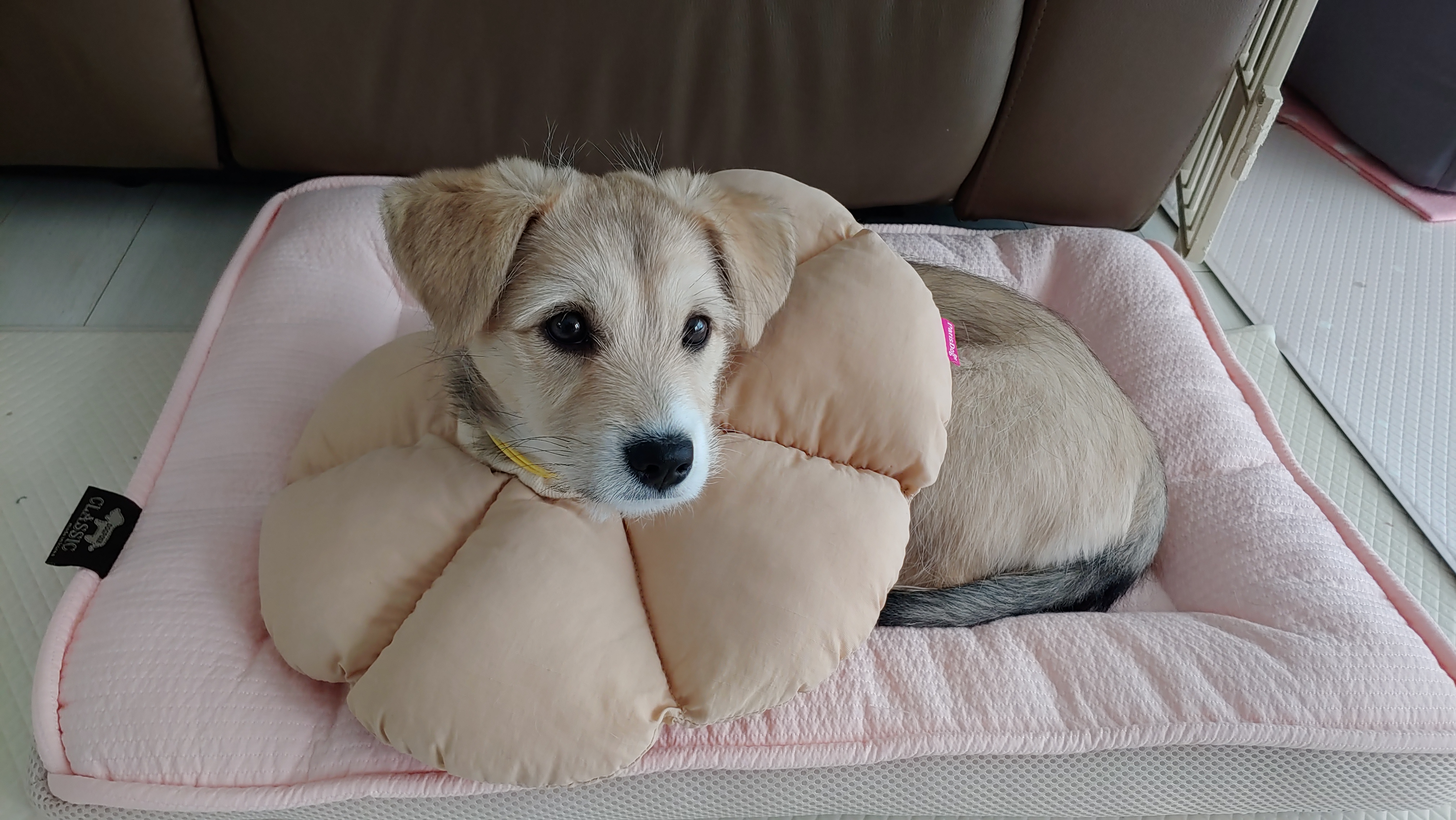 미루 (구 마노) 2주 후기입니다^^