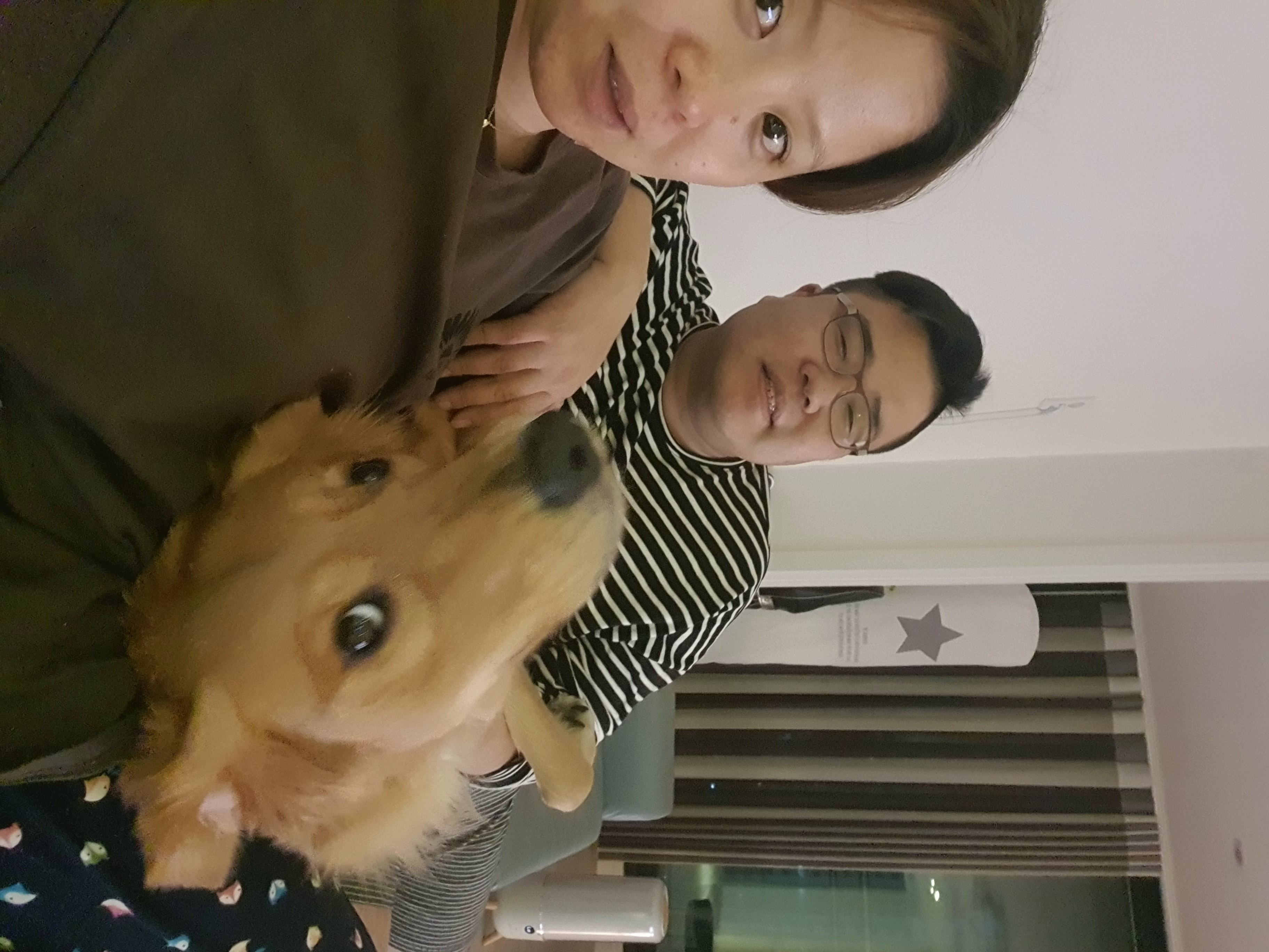 달이(고양-22 다오) 입니다