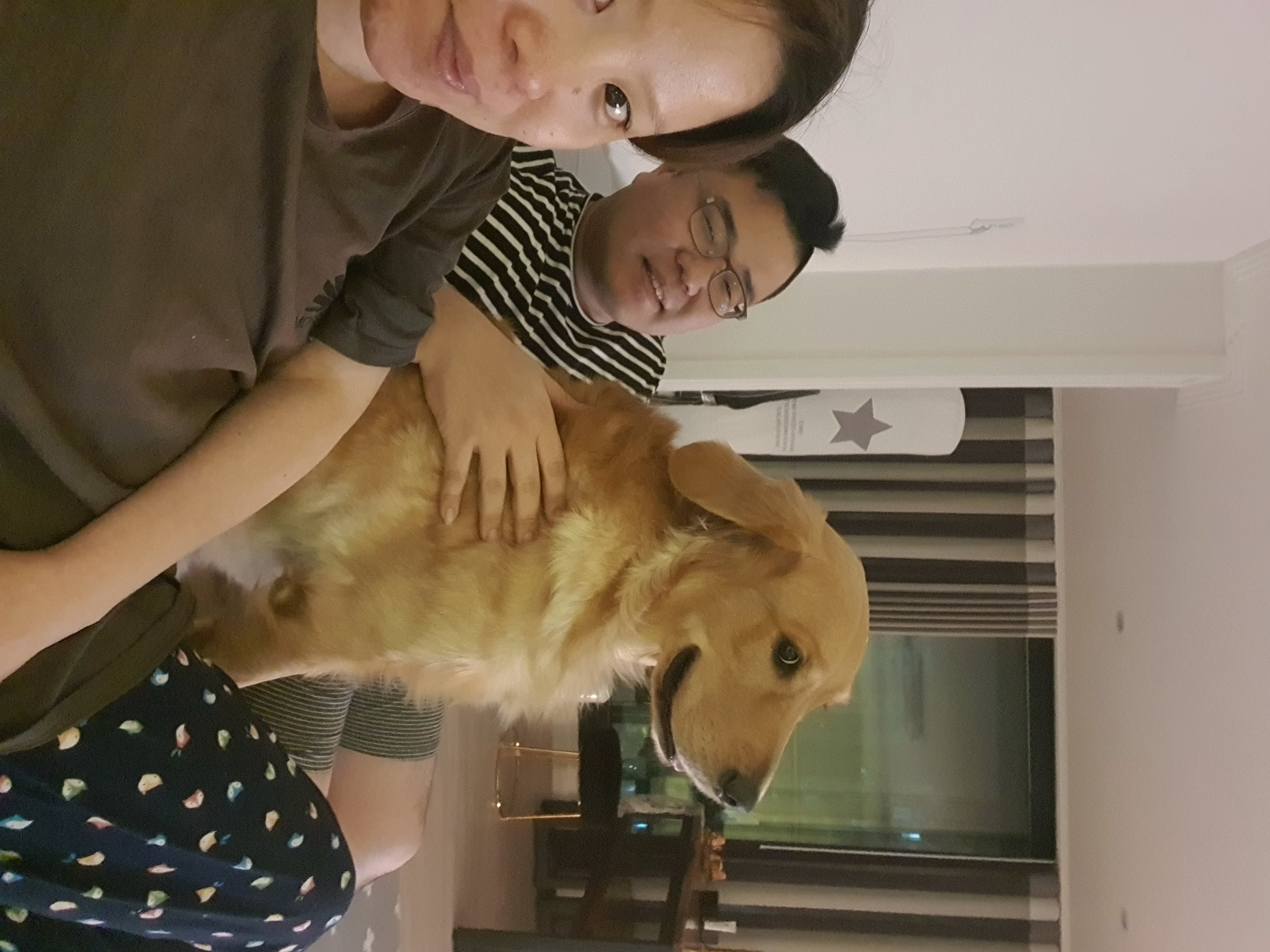 달이(고양-22 다오) 입니다