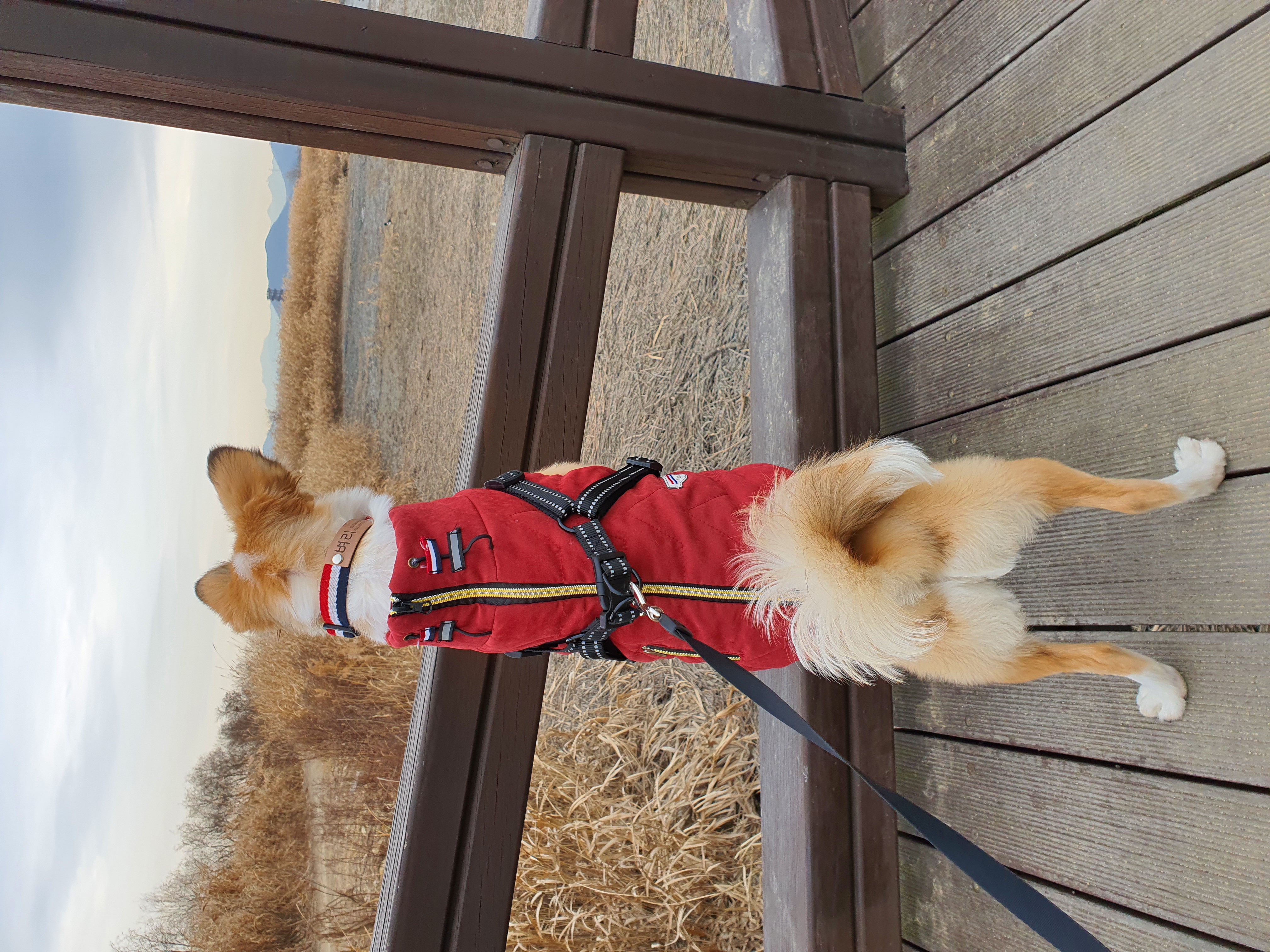 벼리(은오)근황입니다