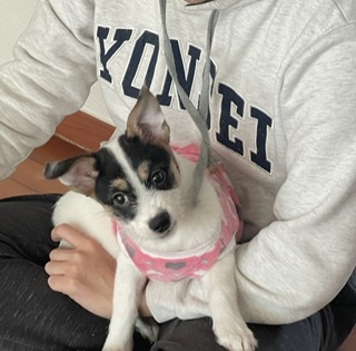 마네(빈스) 입양 한달째 후기