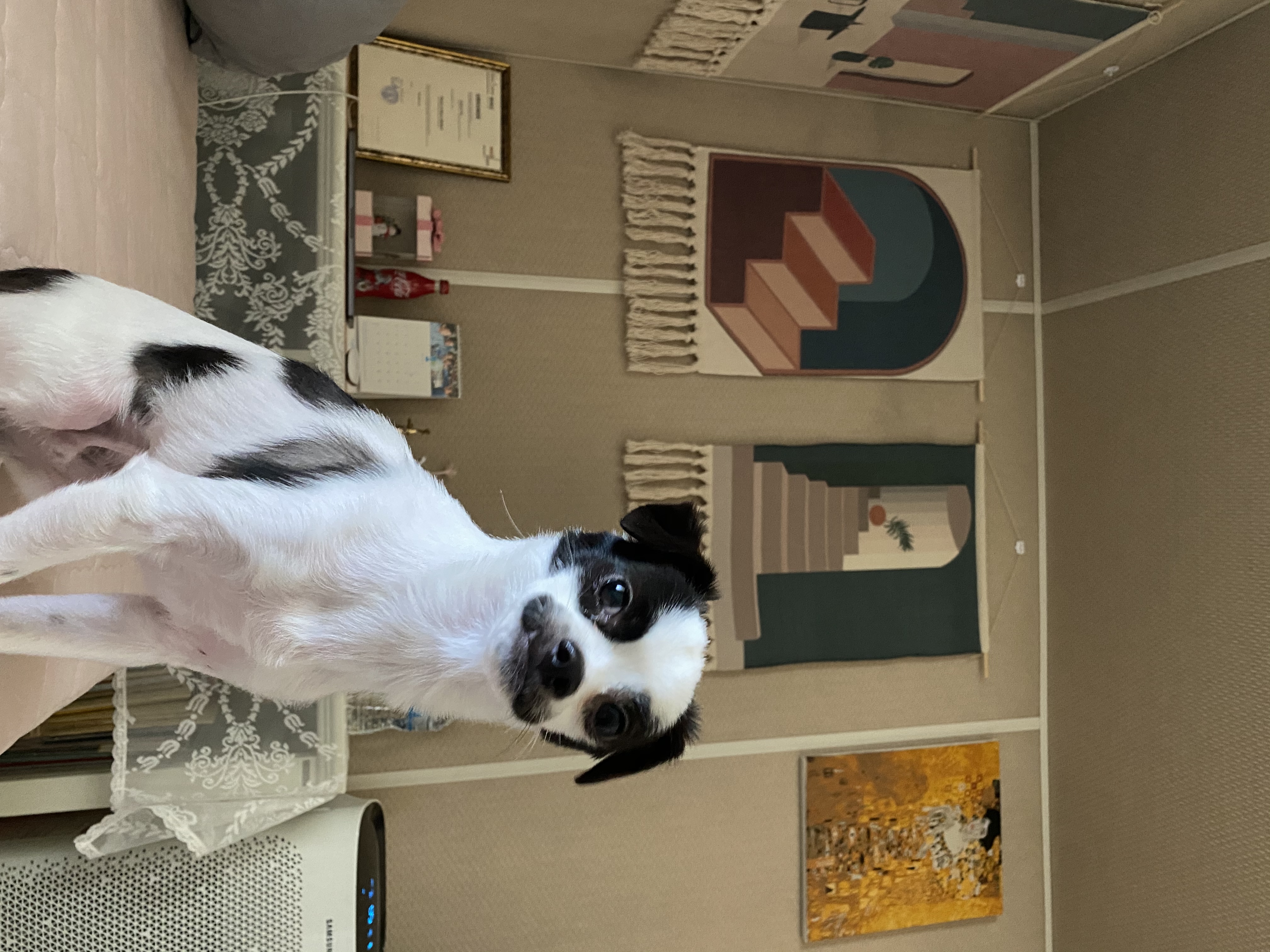 또리(조커) 3달차 후기❤️