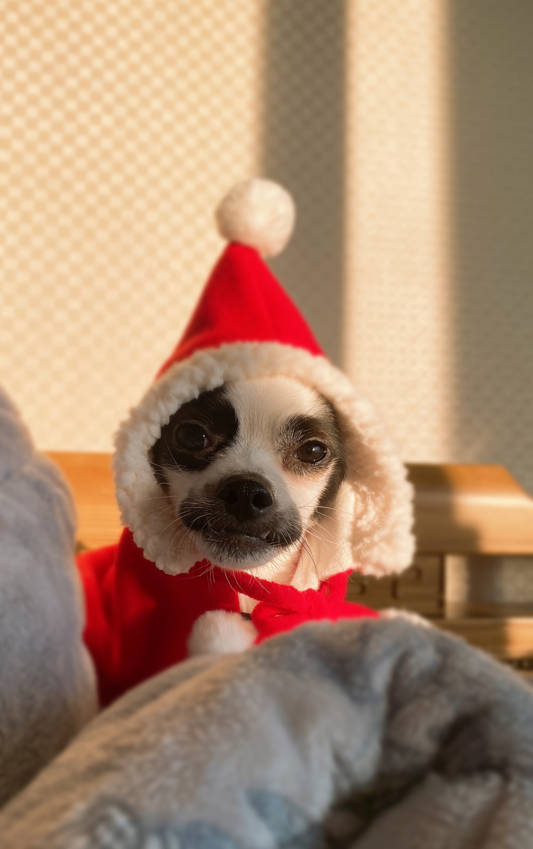 또리(조커) 3달차 후기❤️