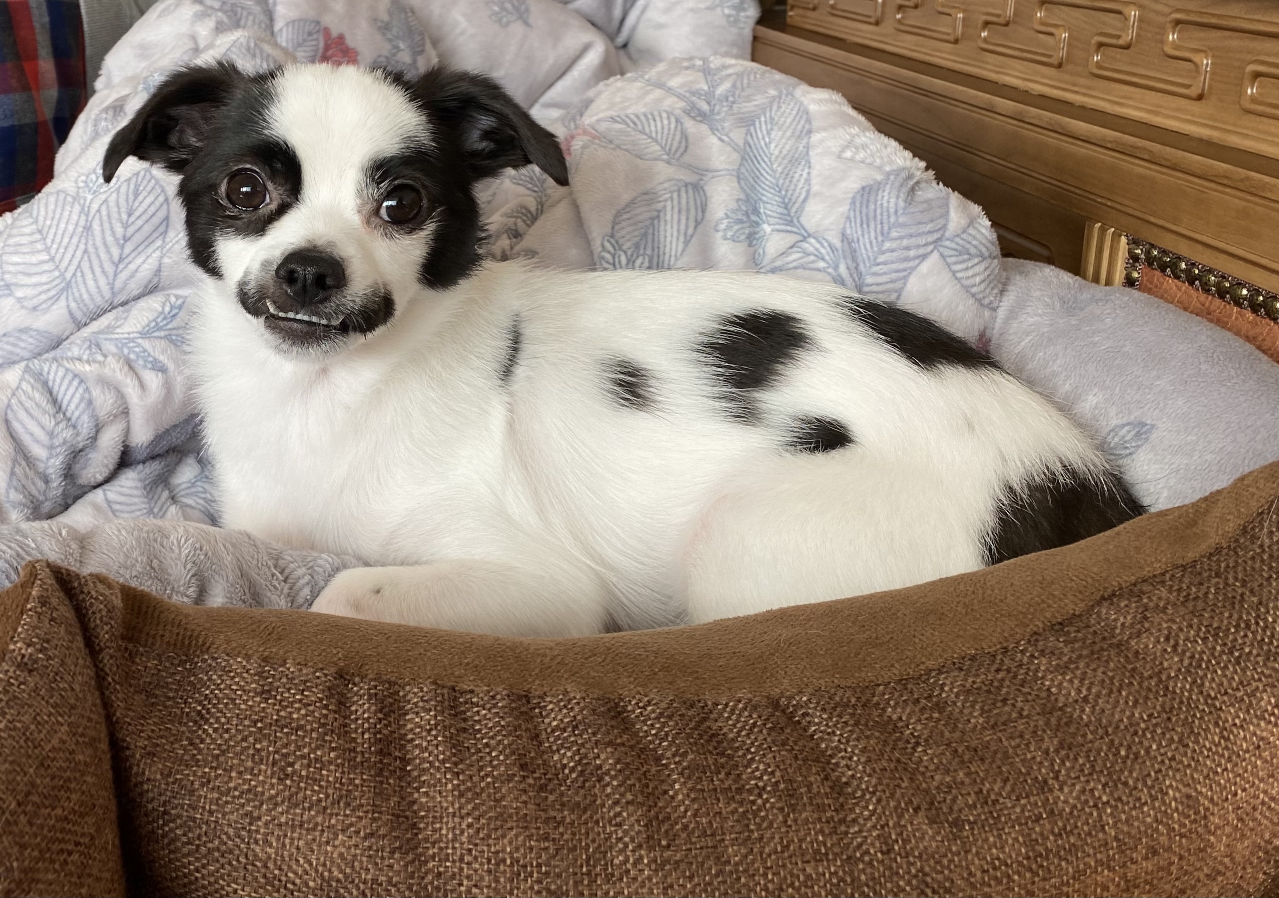 또리(조커) 3달차 후기❤️