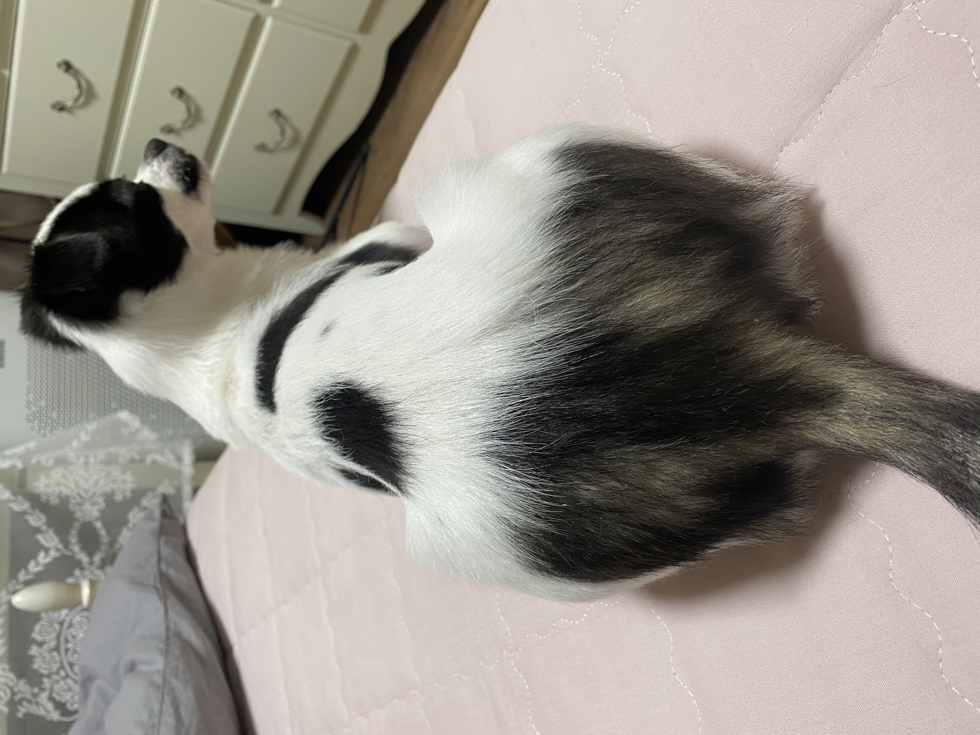 또리(조커) 3달차 후기❤️