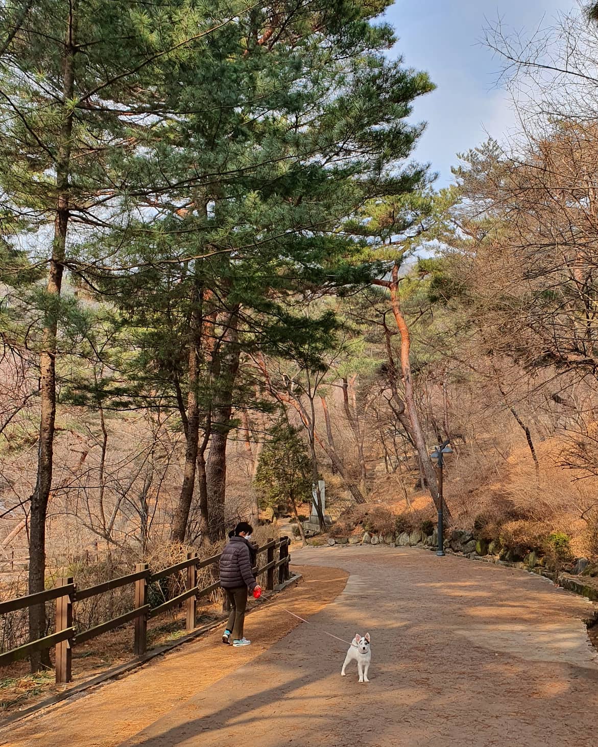 마블 (구 마보) 입양 일주일 이야기