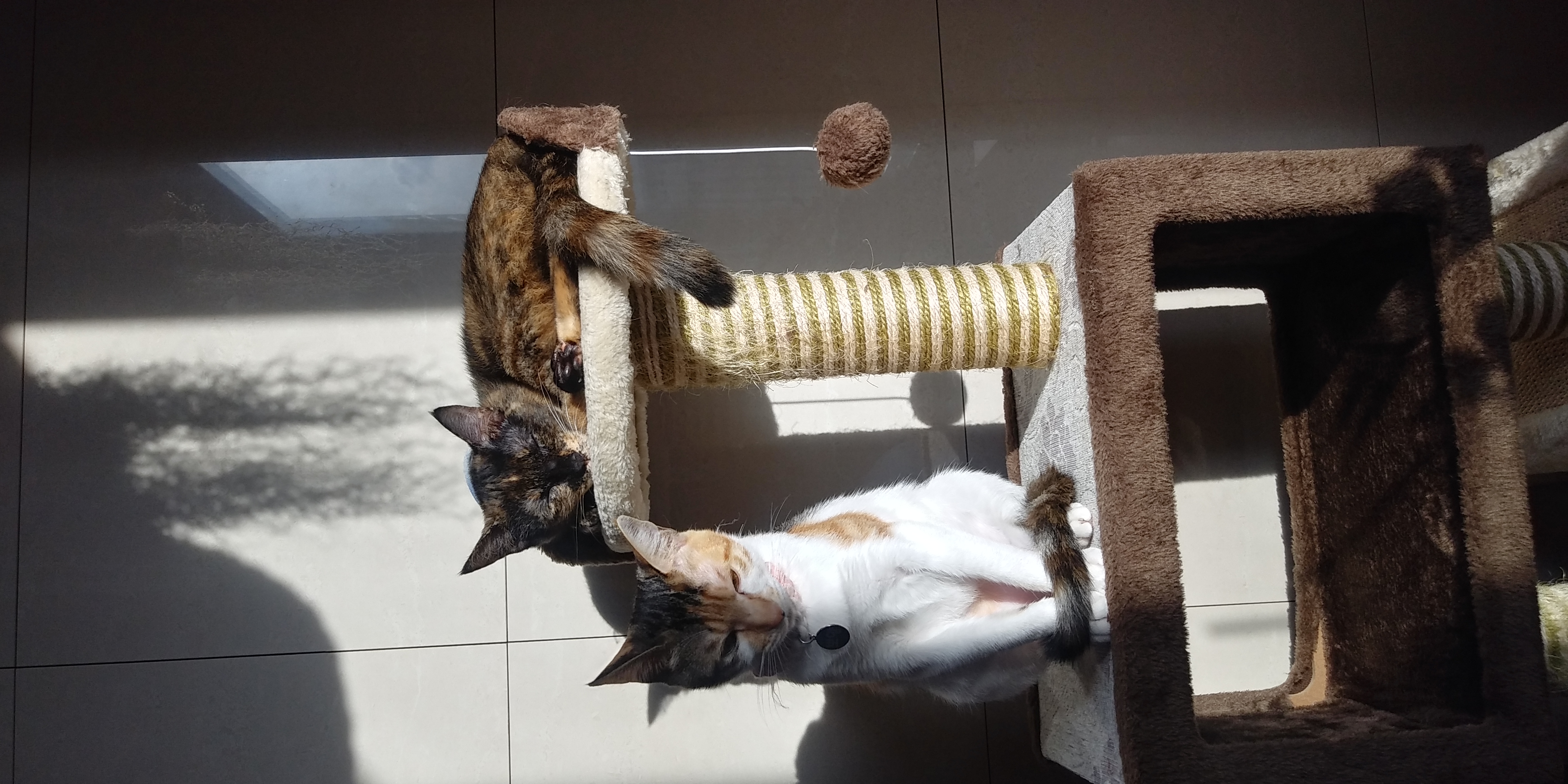 까꿍이의3개월 이야기