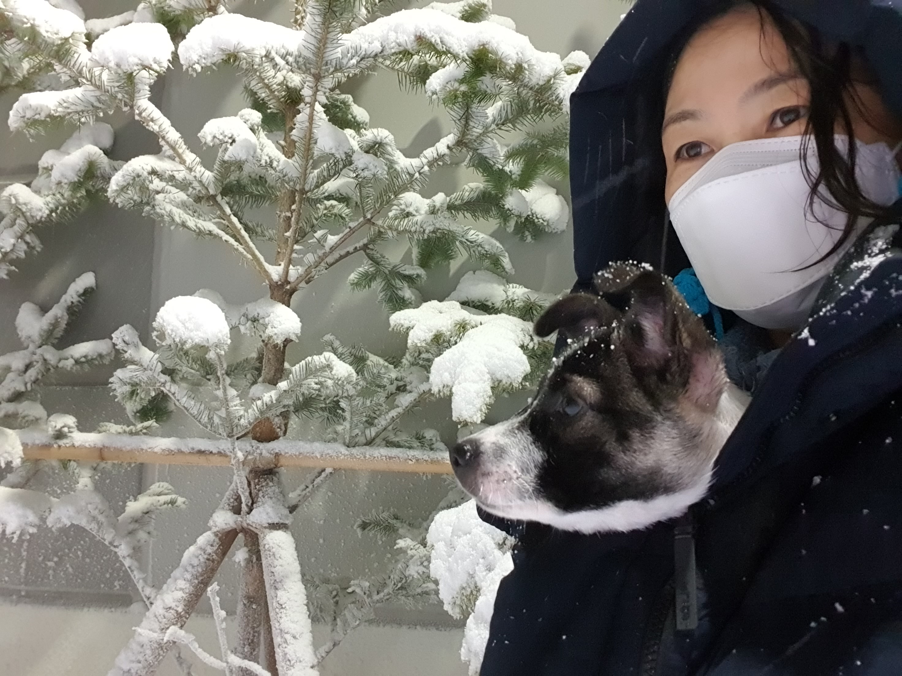 미미 한달째 이야기입니다.