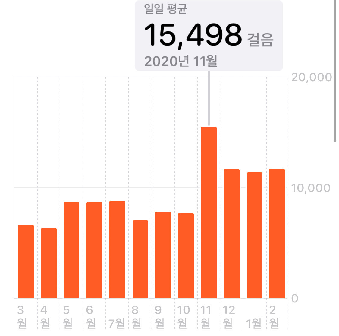 한구(마징가) 3개월차 입양 (지각^_ㅠ)후기