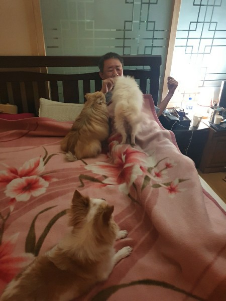 곤지암 번식장 구조견 그레(곤지암-7) 임보 일주일 차 후기