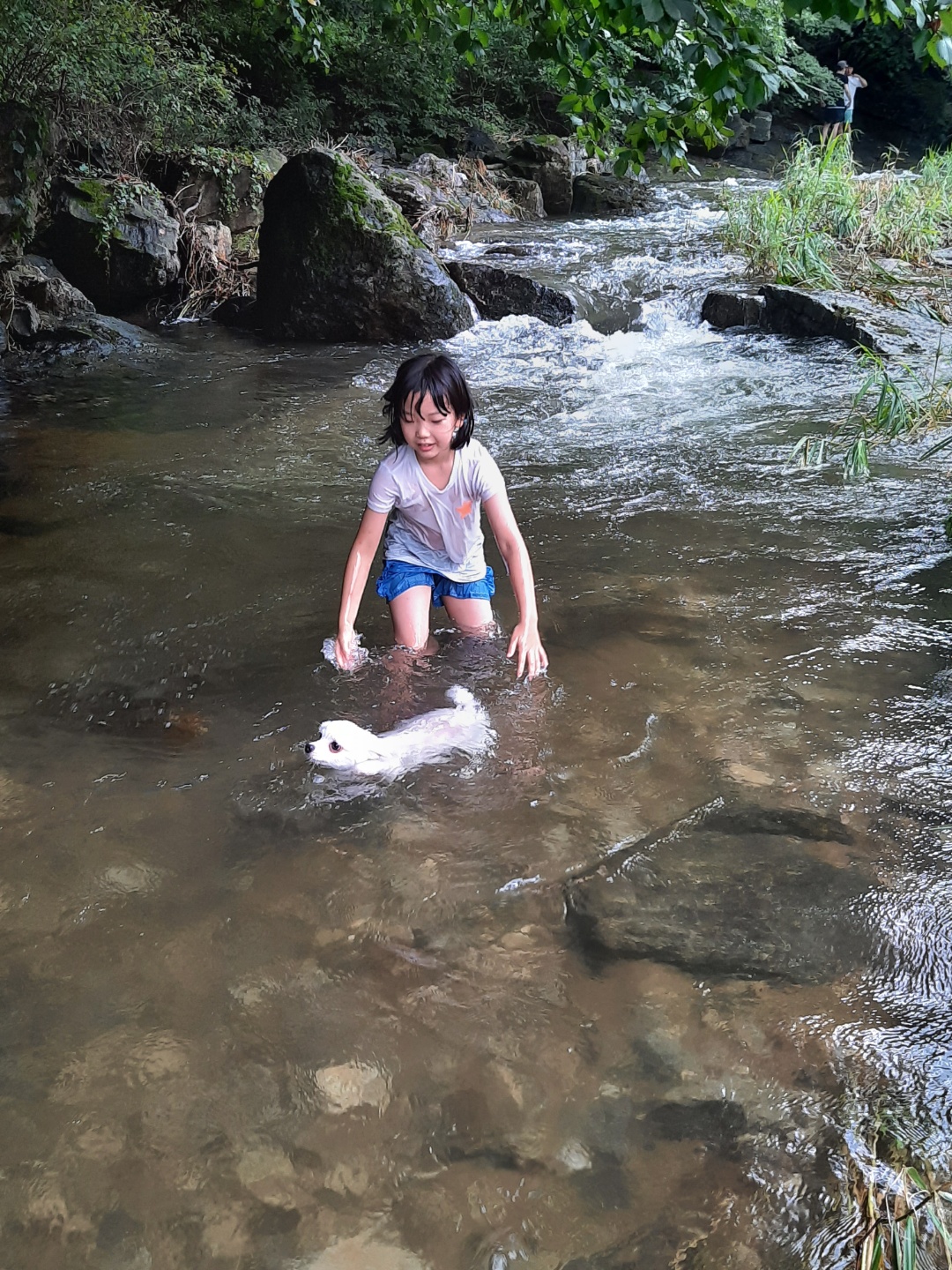 또리 잘 지내고 있어요~^^(1년차 후기)