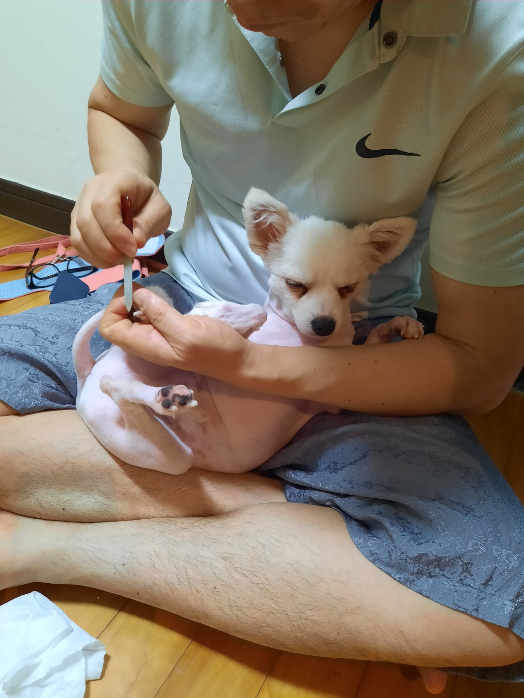 또리 잘 지내고 있어요~^^(1년차 후기)