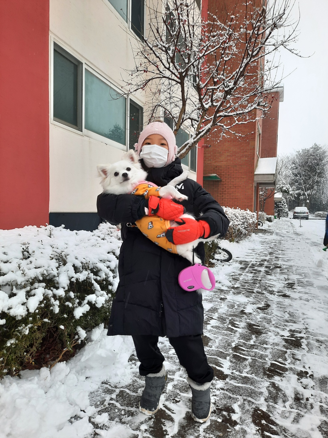 또리 잘 지내고 있어요~^^(1년차 후기)