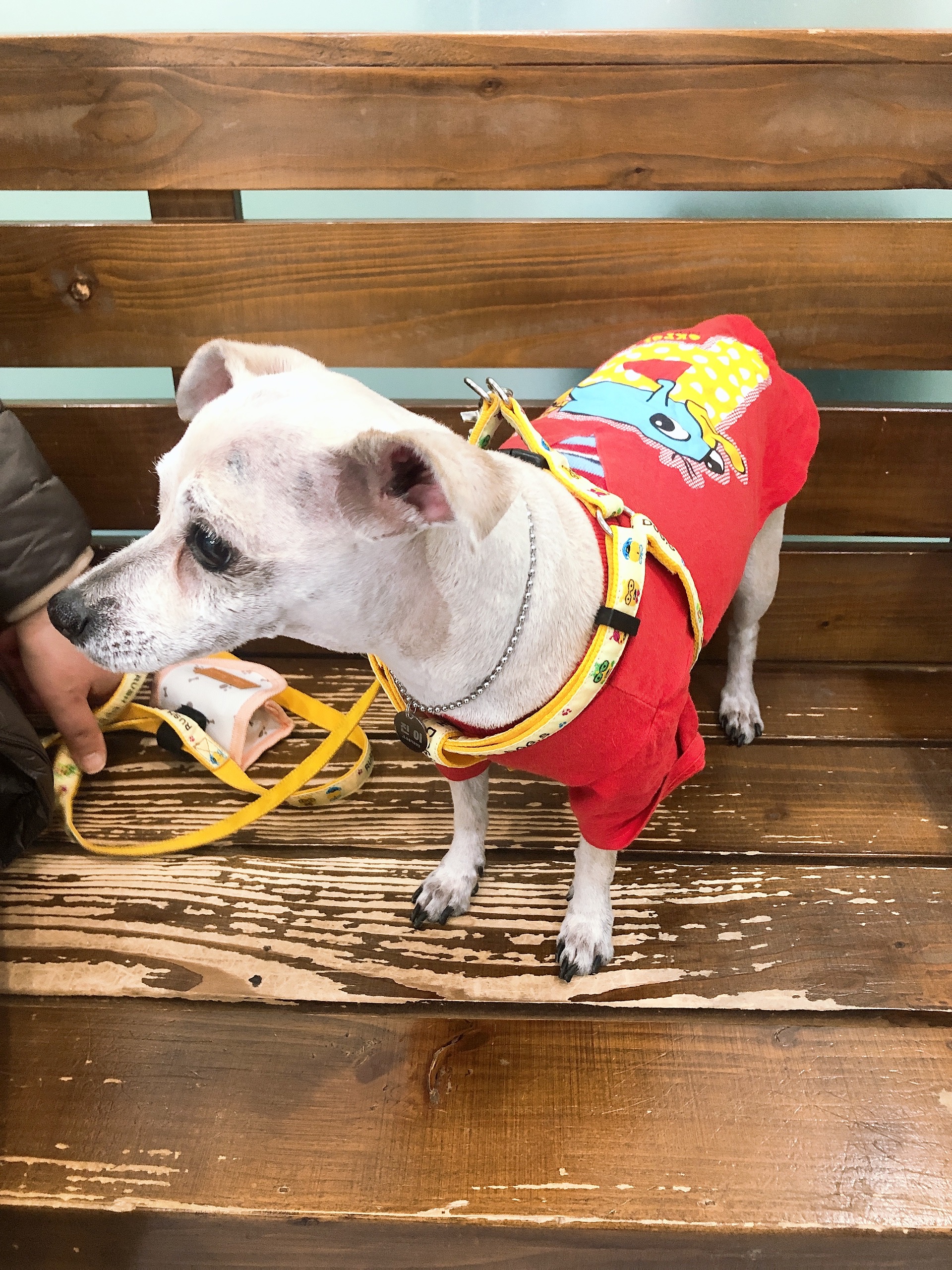 진이(前바비) 한달 차 소식입니다. ^0^