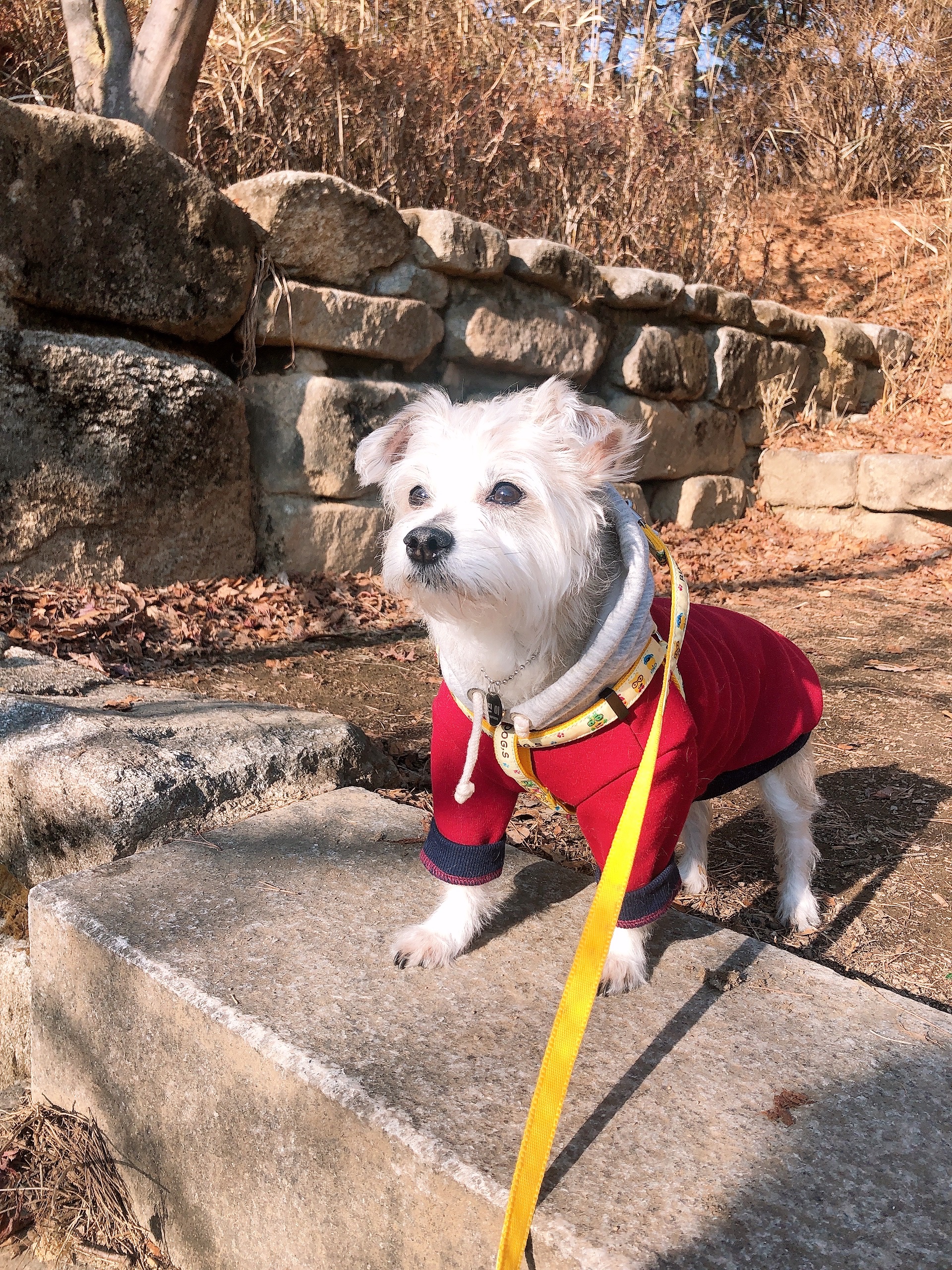 진이(前바비) 한달 차 소식입니다. ^0^