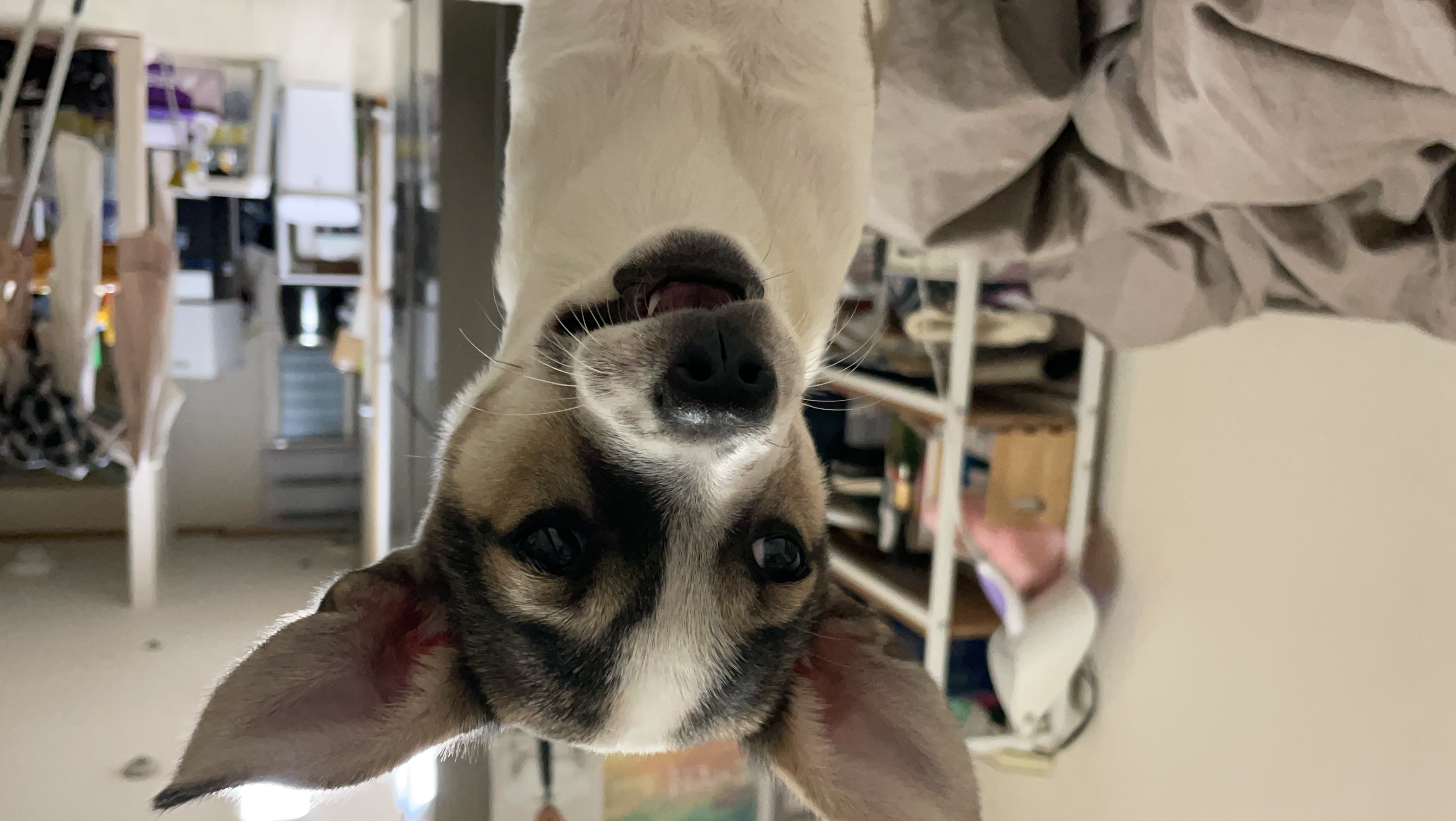 솔솔이 한달이야기