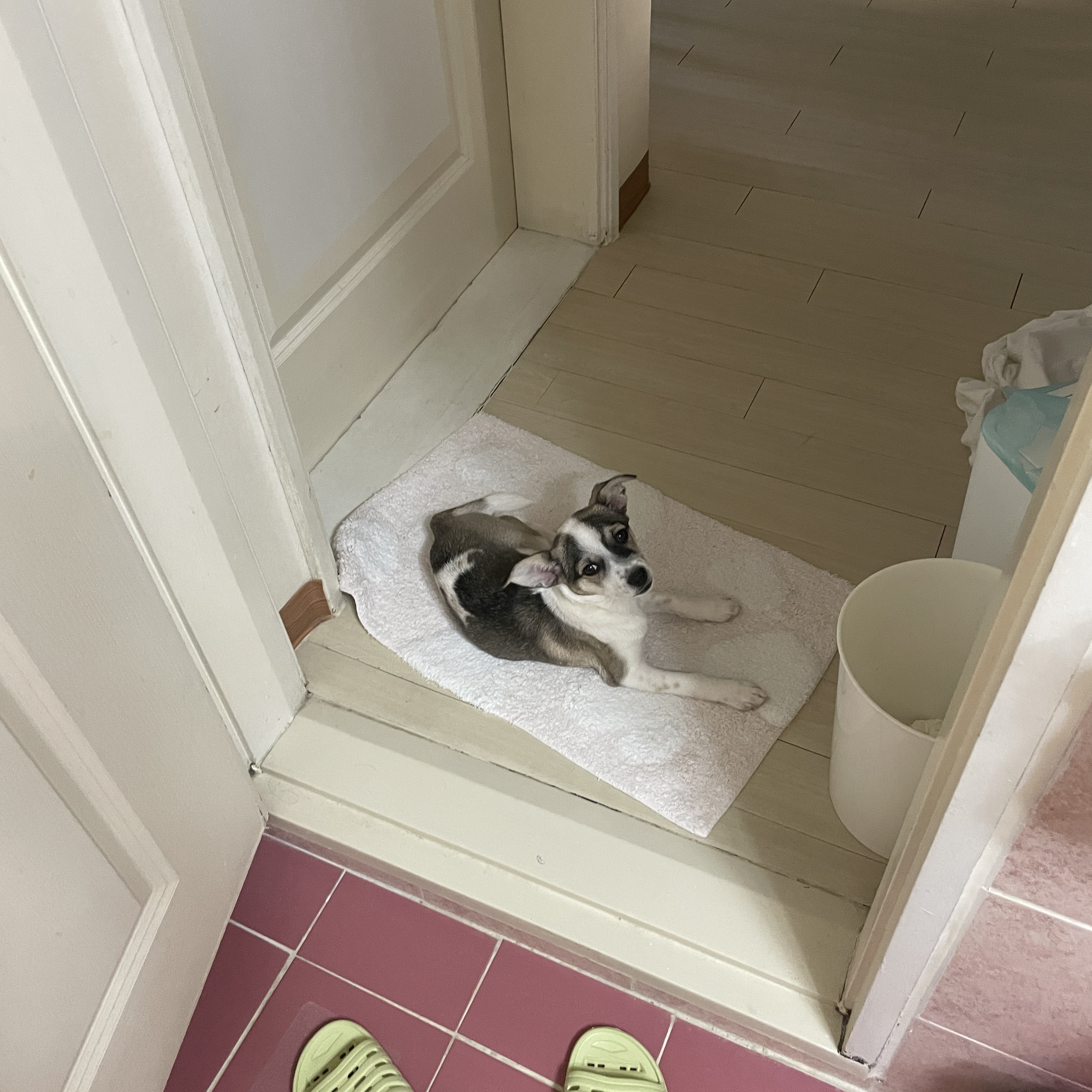 솔솔이 한달이야기