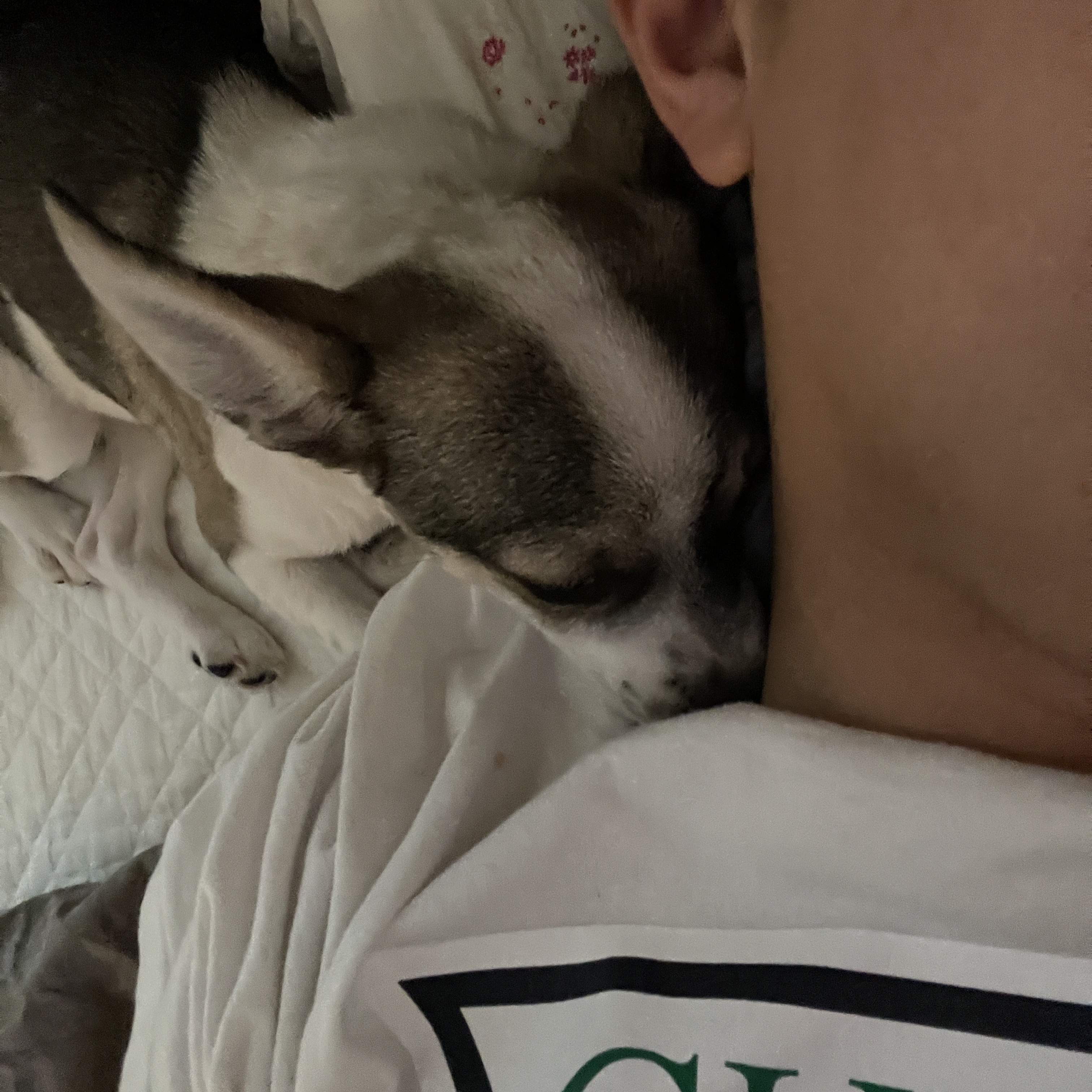 솔솔이 한달이야기