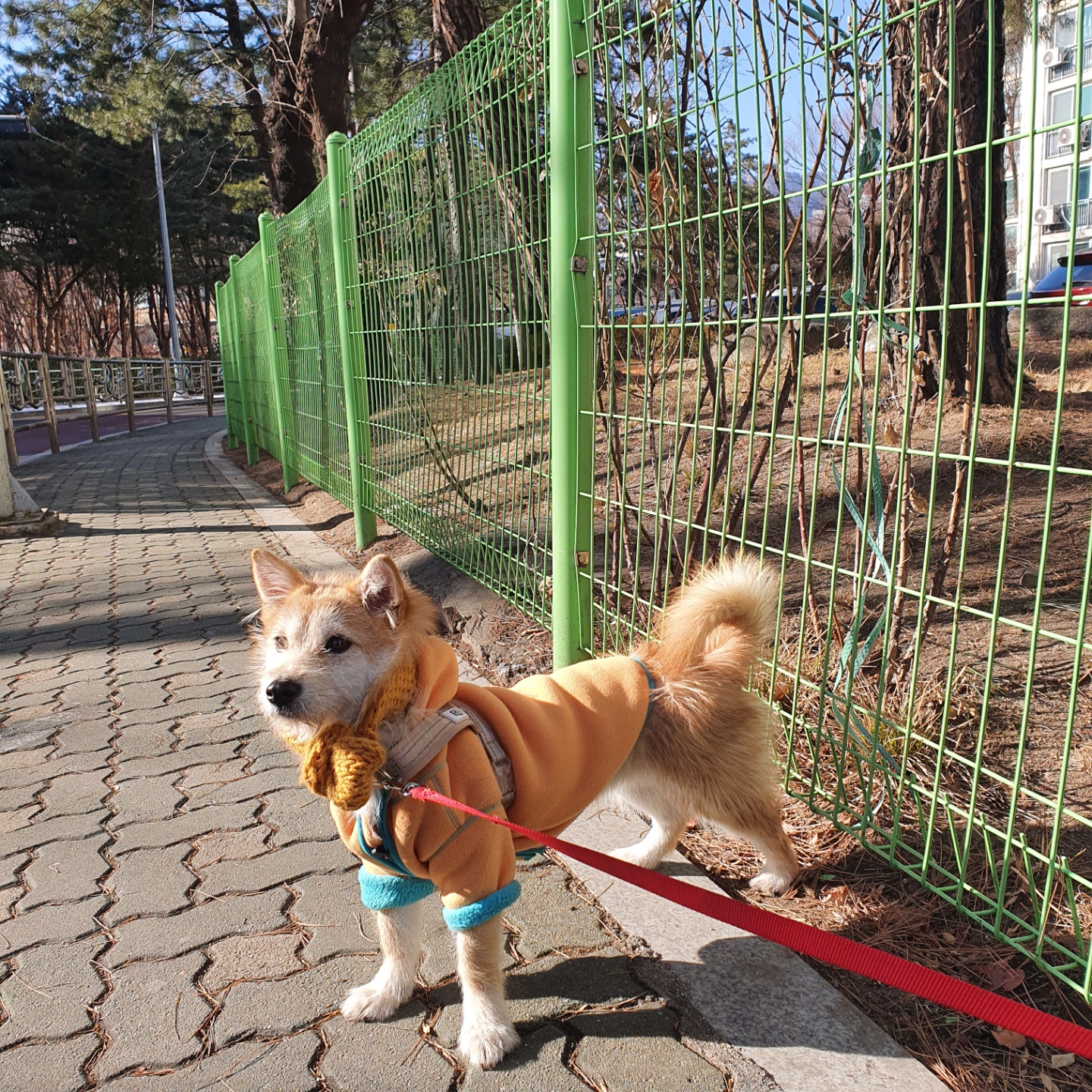 보들이(순애) 한달 차 이야기♥