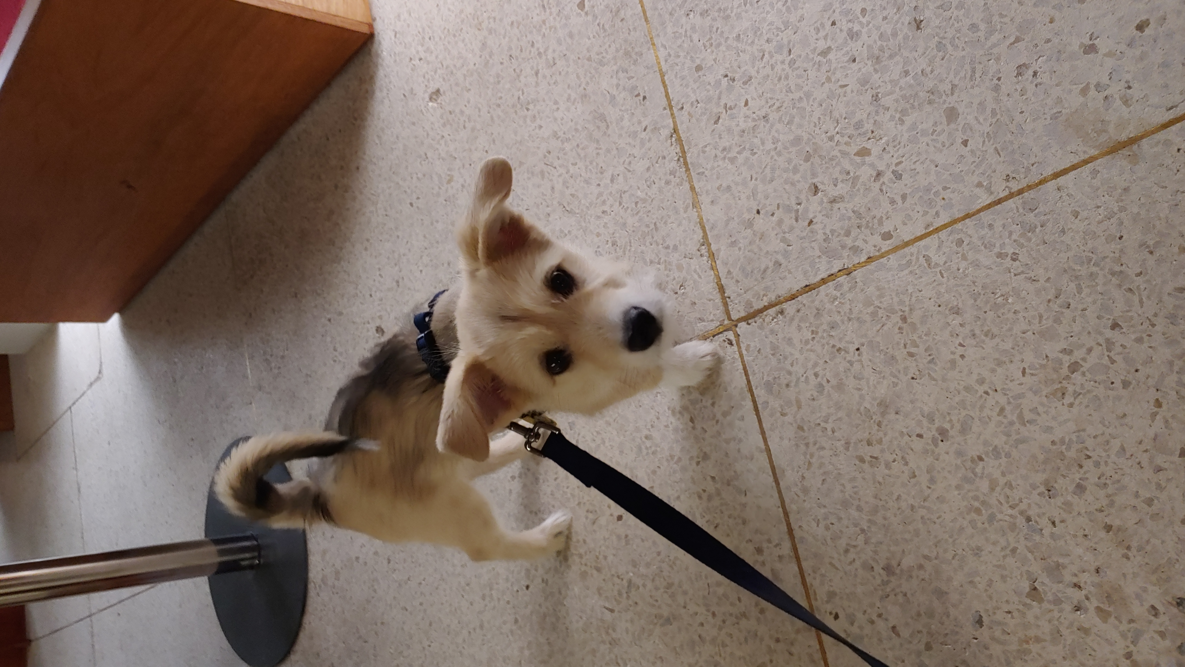 미루 (마노) 한 달 이야기