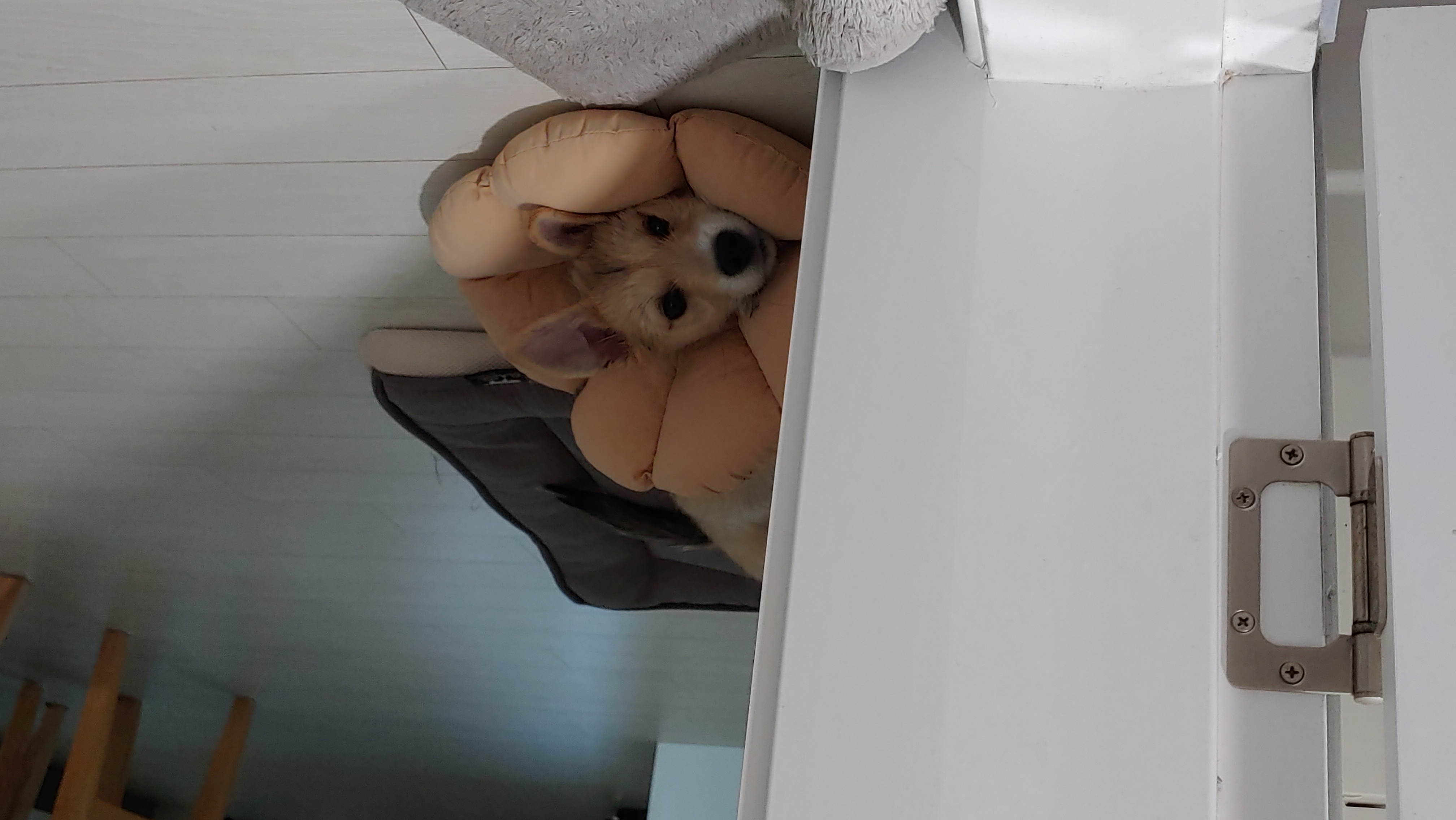 미루 (마노) 한 달 이야기